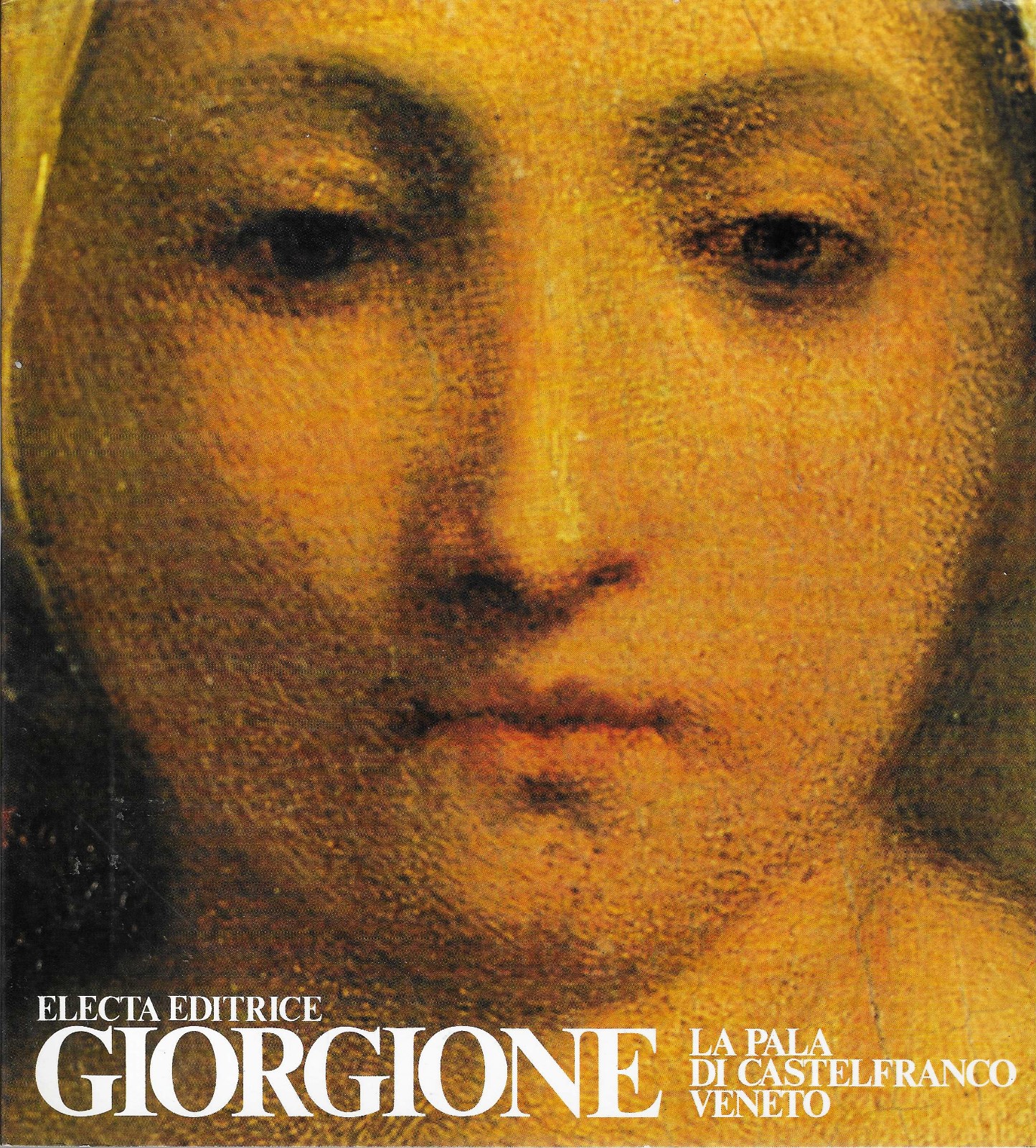 Giorgione La pala di Castelfranco Veneto