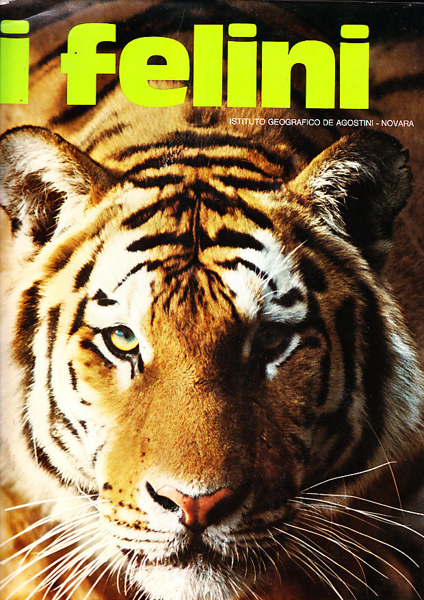 I FELINI