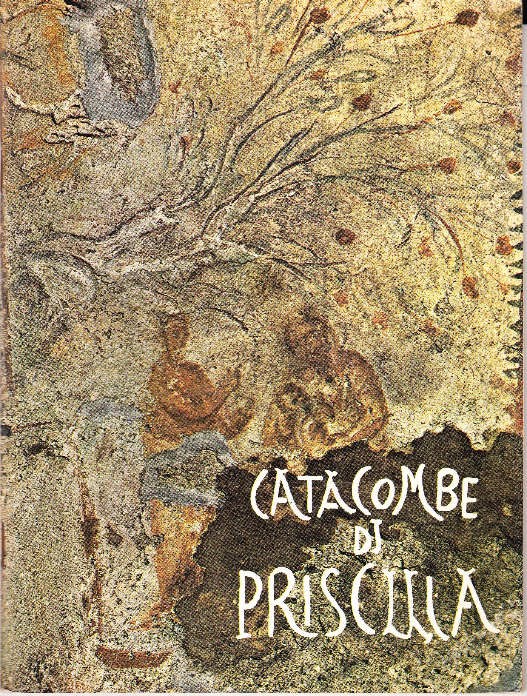 Catacombe di Priscilla / Guida delle Catacombe di Priscilla)