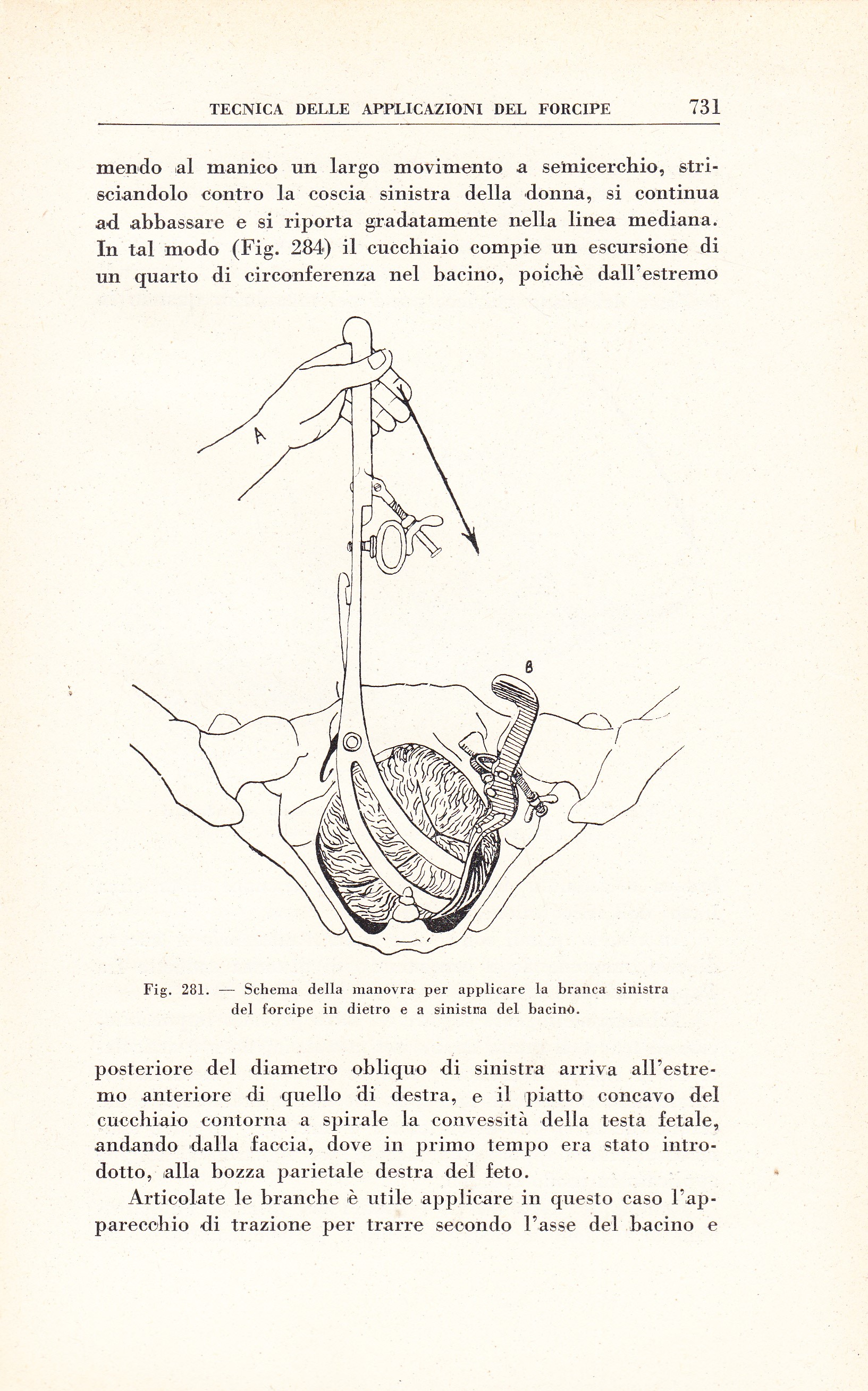 Manuale di ostetricia. Terza edizione riveduta e ampliata