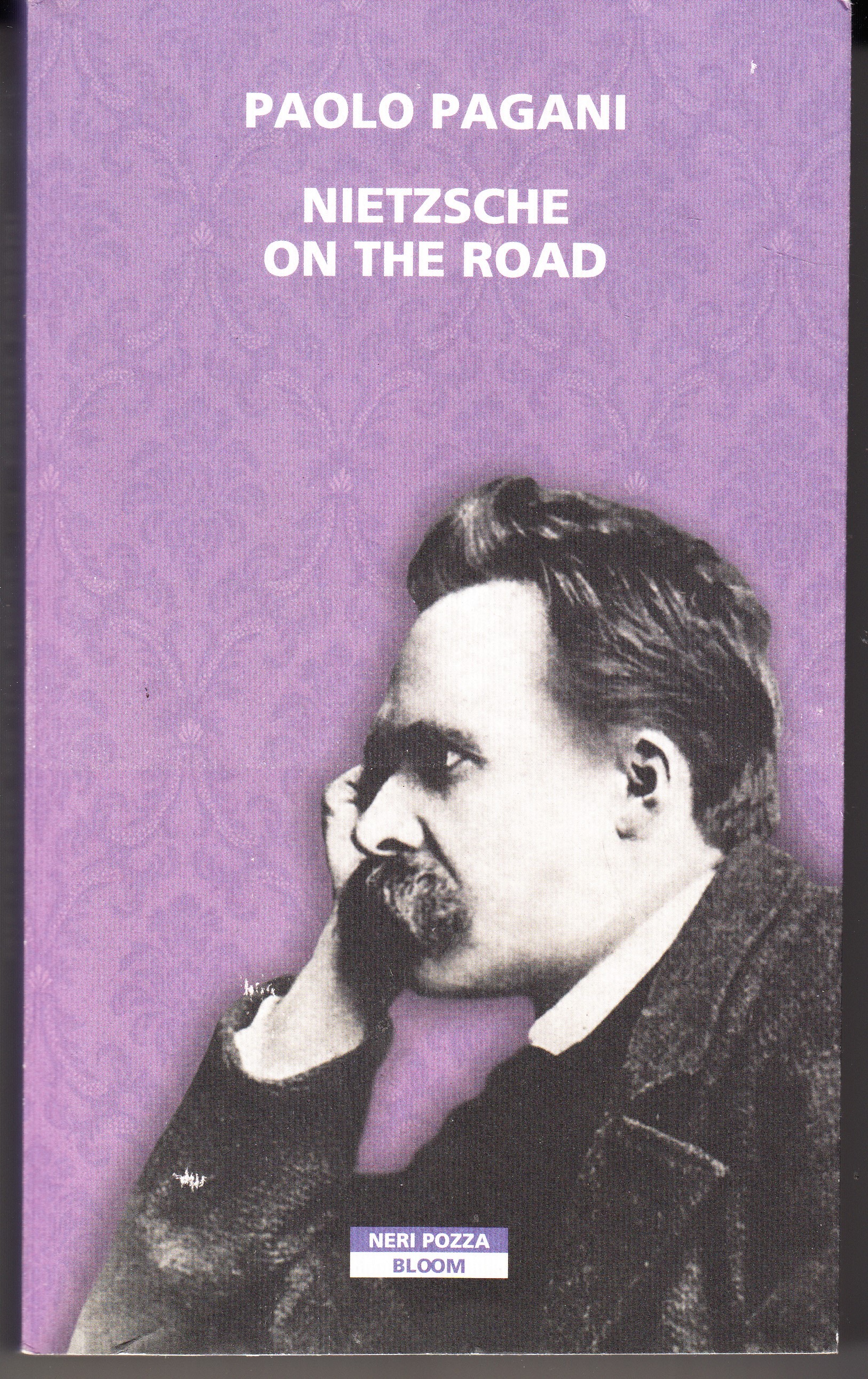 Nietzsche on the road. Quattromila chilometri verso la follia