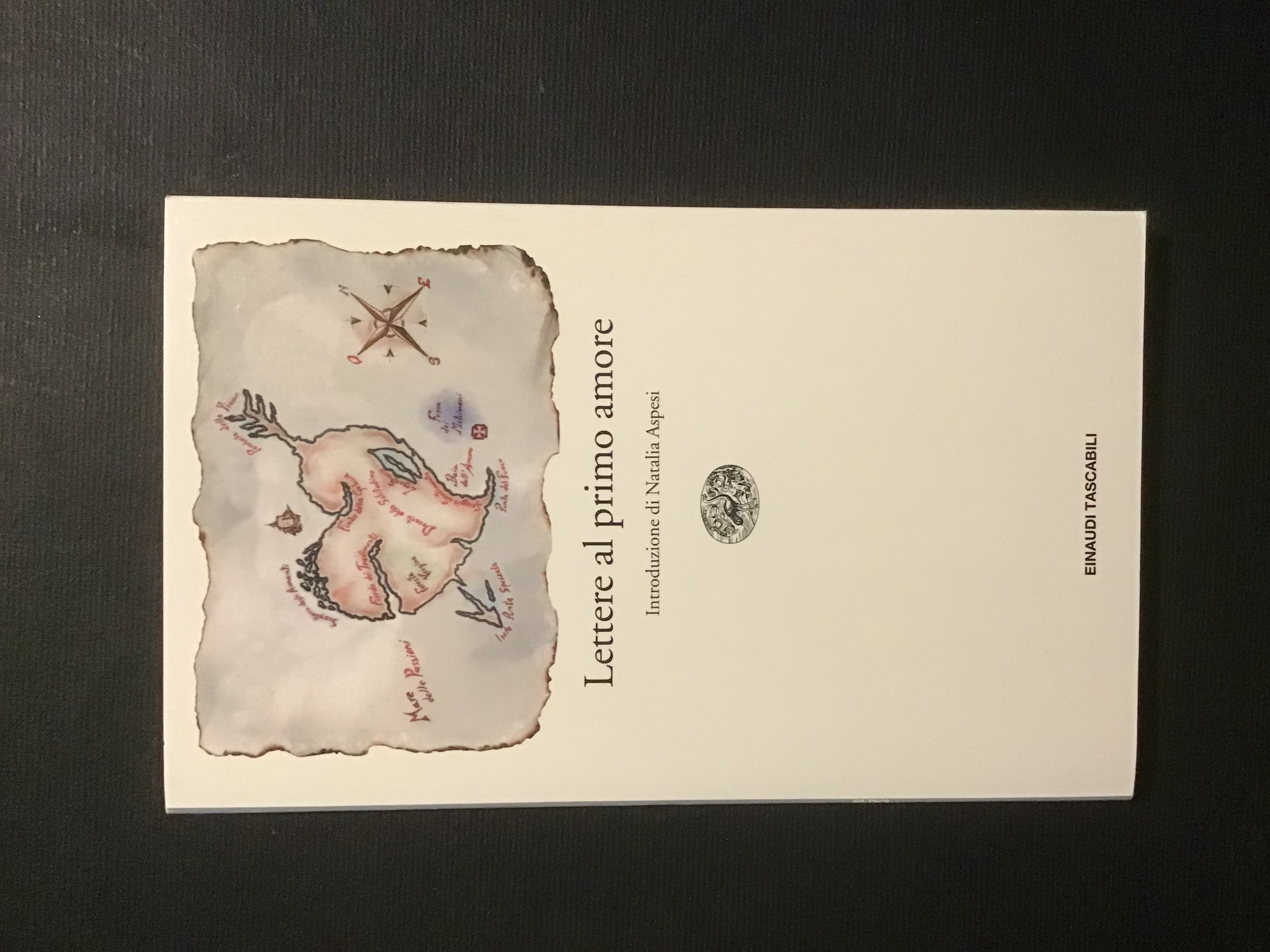 LETTERE AL PRIMO AMORE