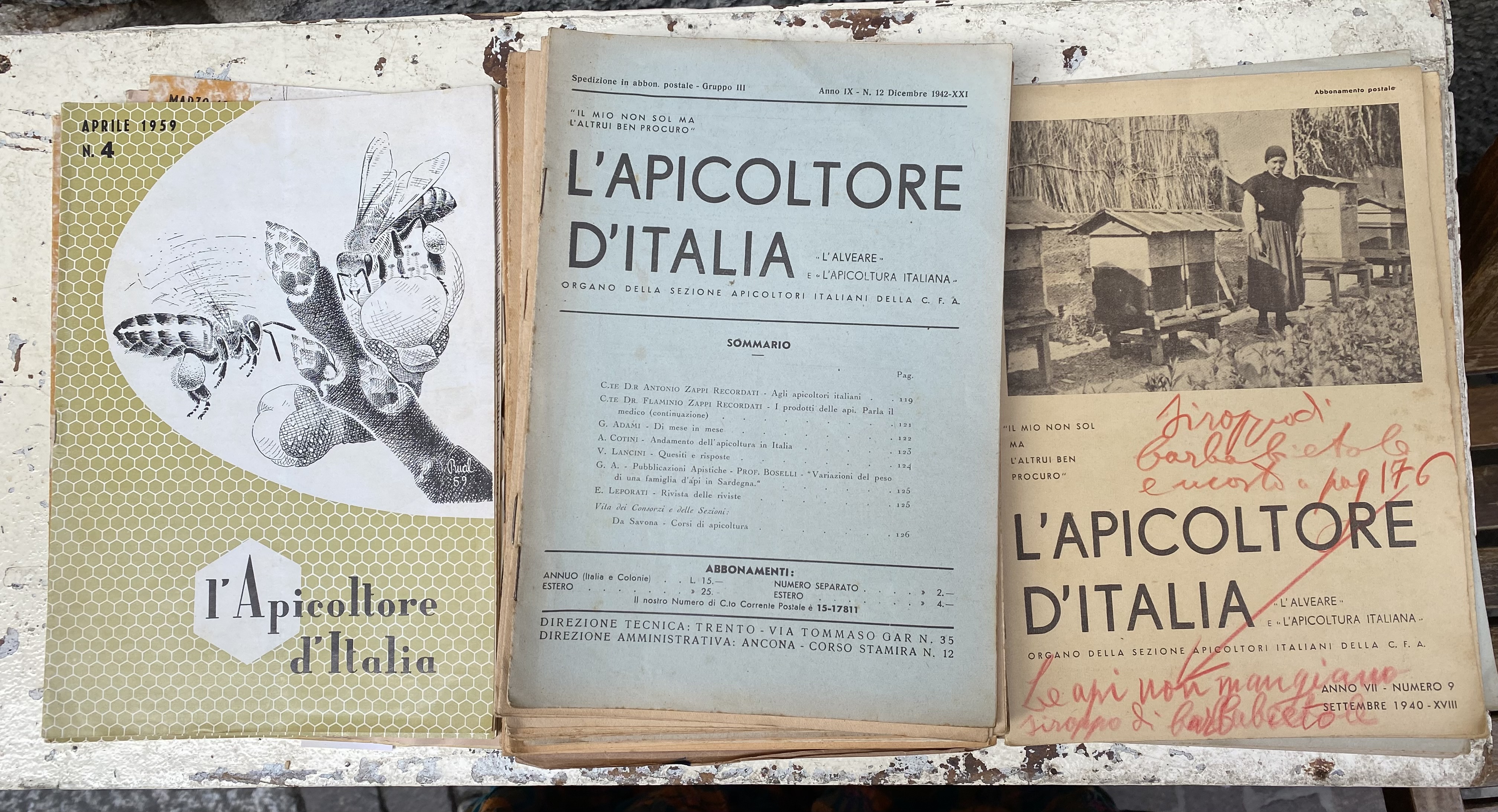 L'apicoltore d'Italia (l'alveare e l'apicoltura italiana). Rivista mensile d'apicoltura. N. …