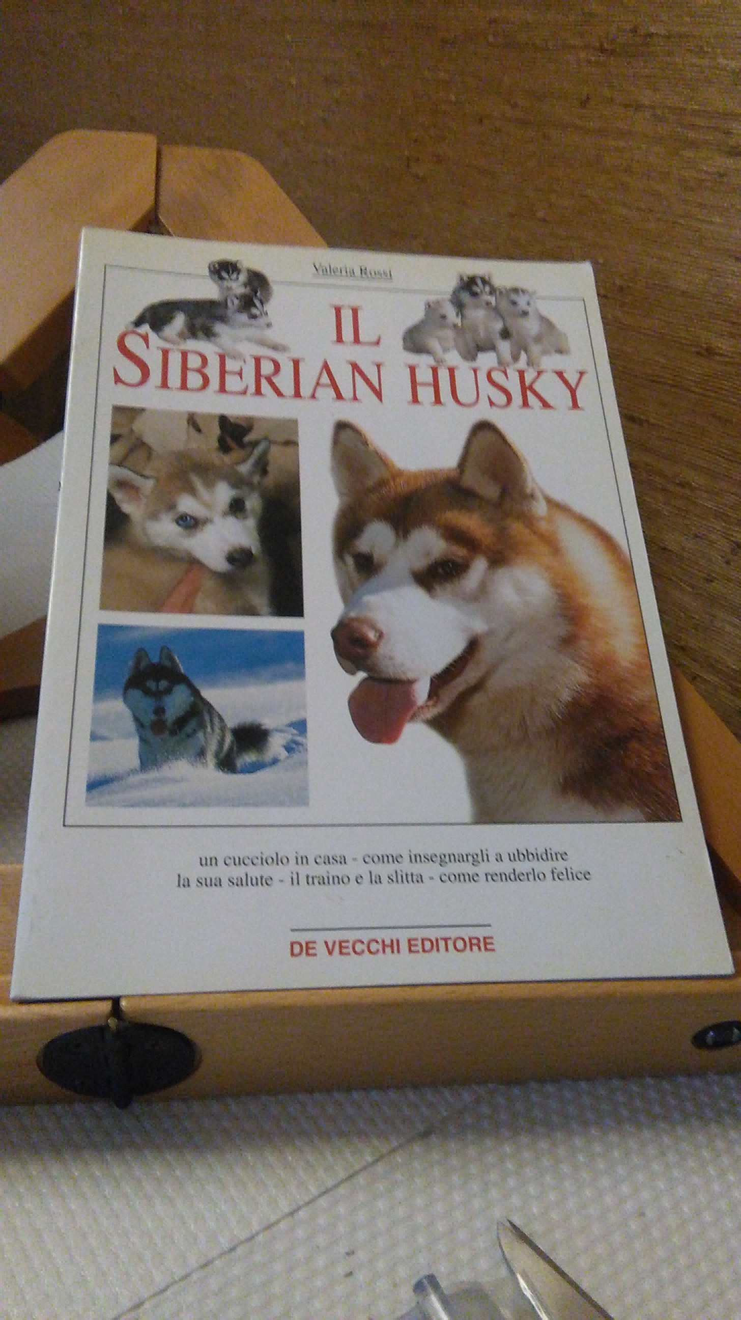 IL SIBERIAN HUSKY