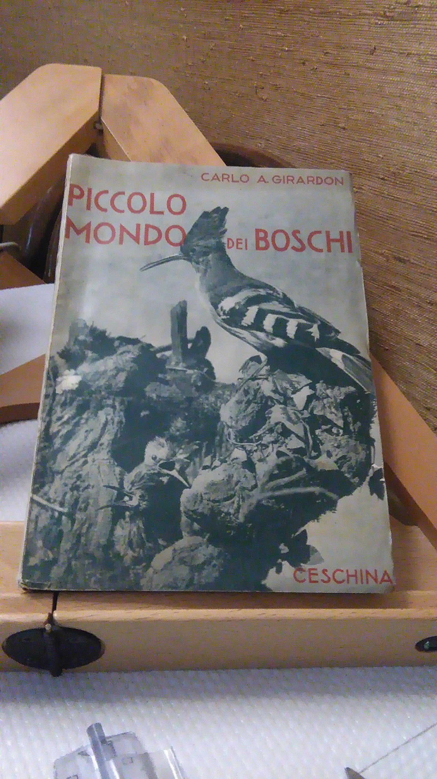 PICCOLO MONDO DEI BOSCHI