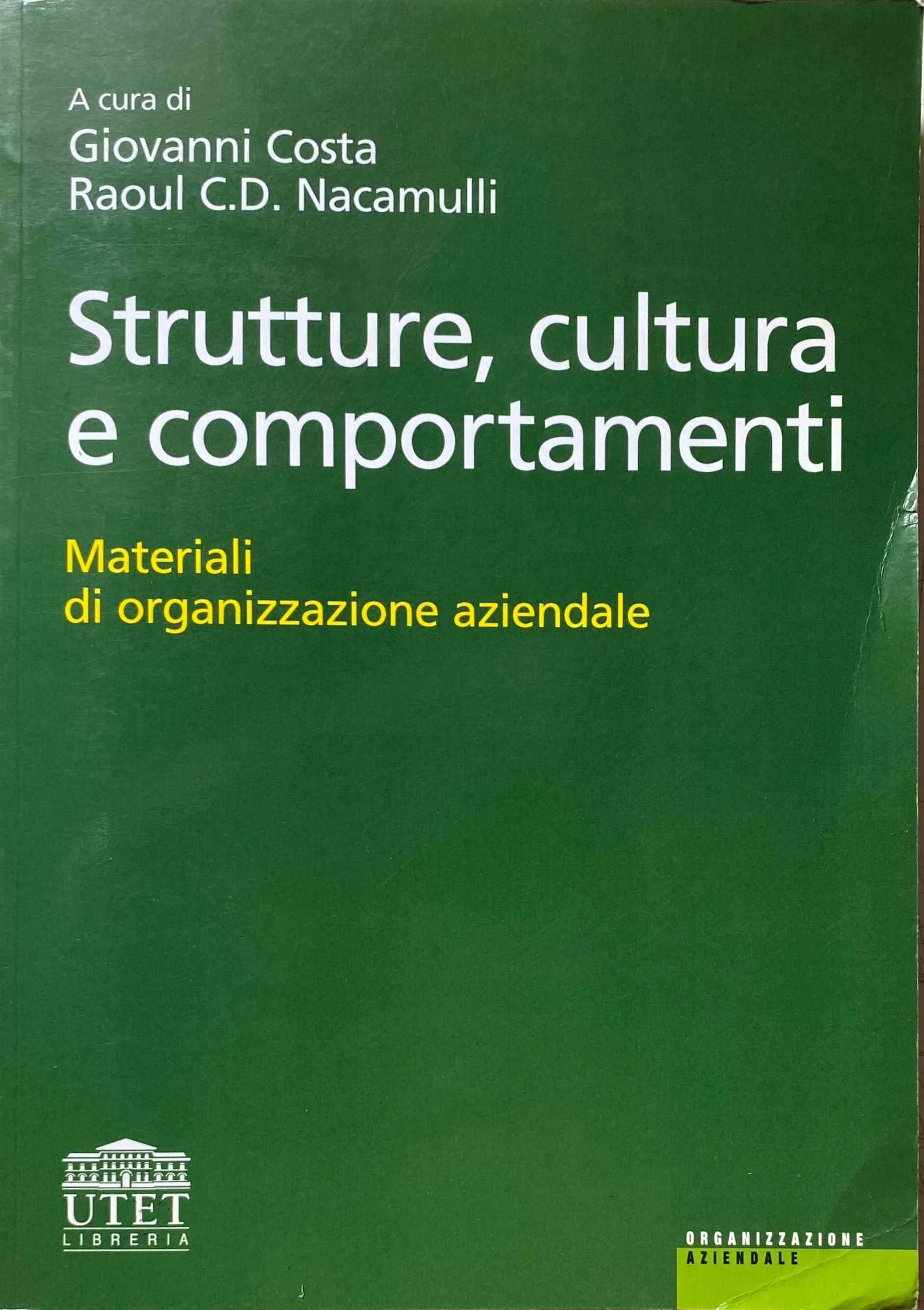 STRUTTURE, CULTURA E COMPORTAMENTI. MATERIALI DI ORGANIZZAZIONE AZIENDALE.