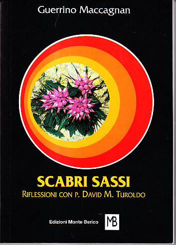 SCABRI SASSI - RIFLESSIONI CON PADRE DAVID MARIA TUROLDO