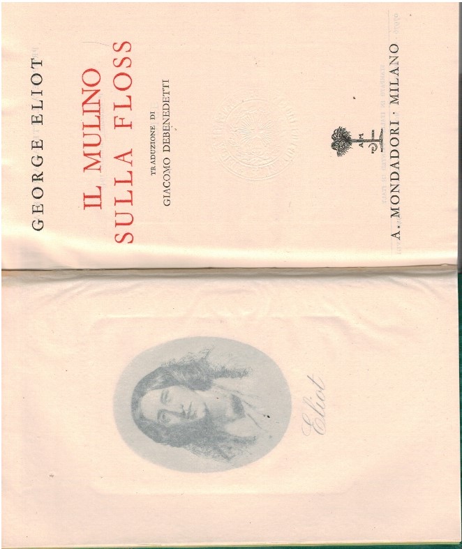 Il miulino sulla Floss