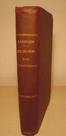 SUB TEGMINE FAGI (SOTTO UN TEGAME DI FAGIUOLI)