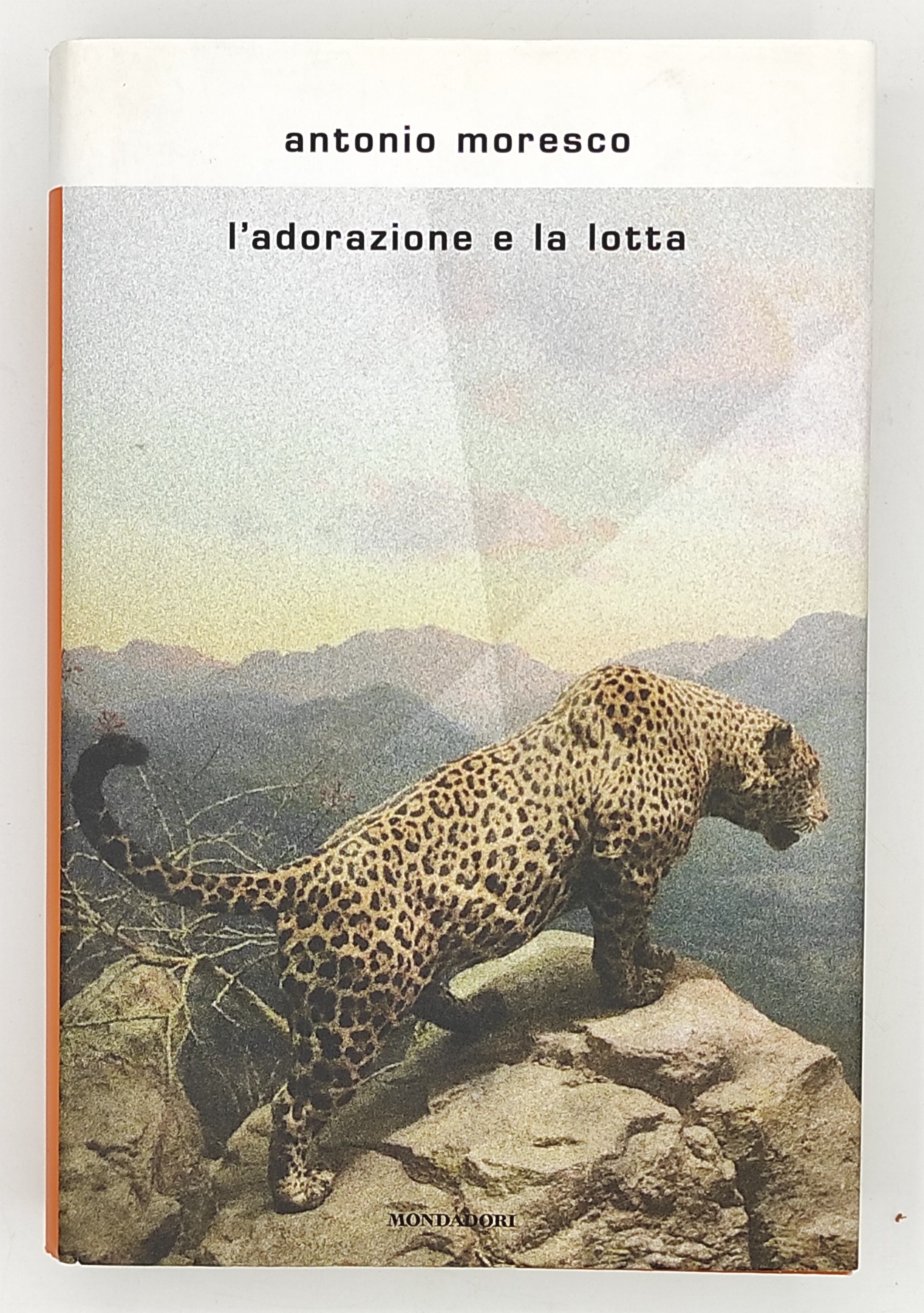 L'adorazione e la lotta