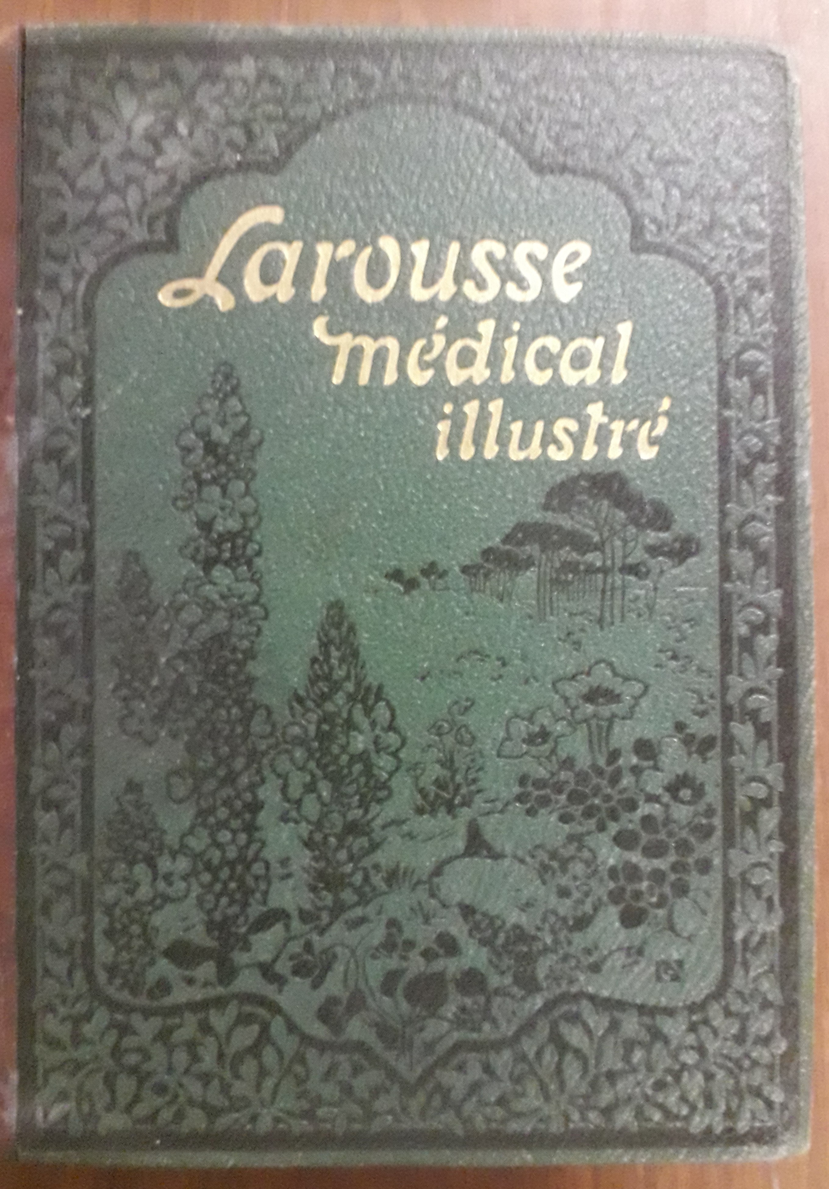 Larousse médical illustré