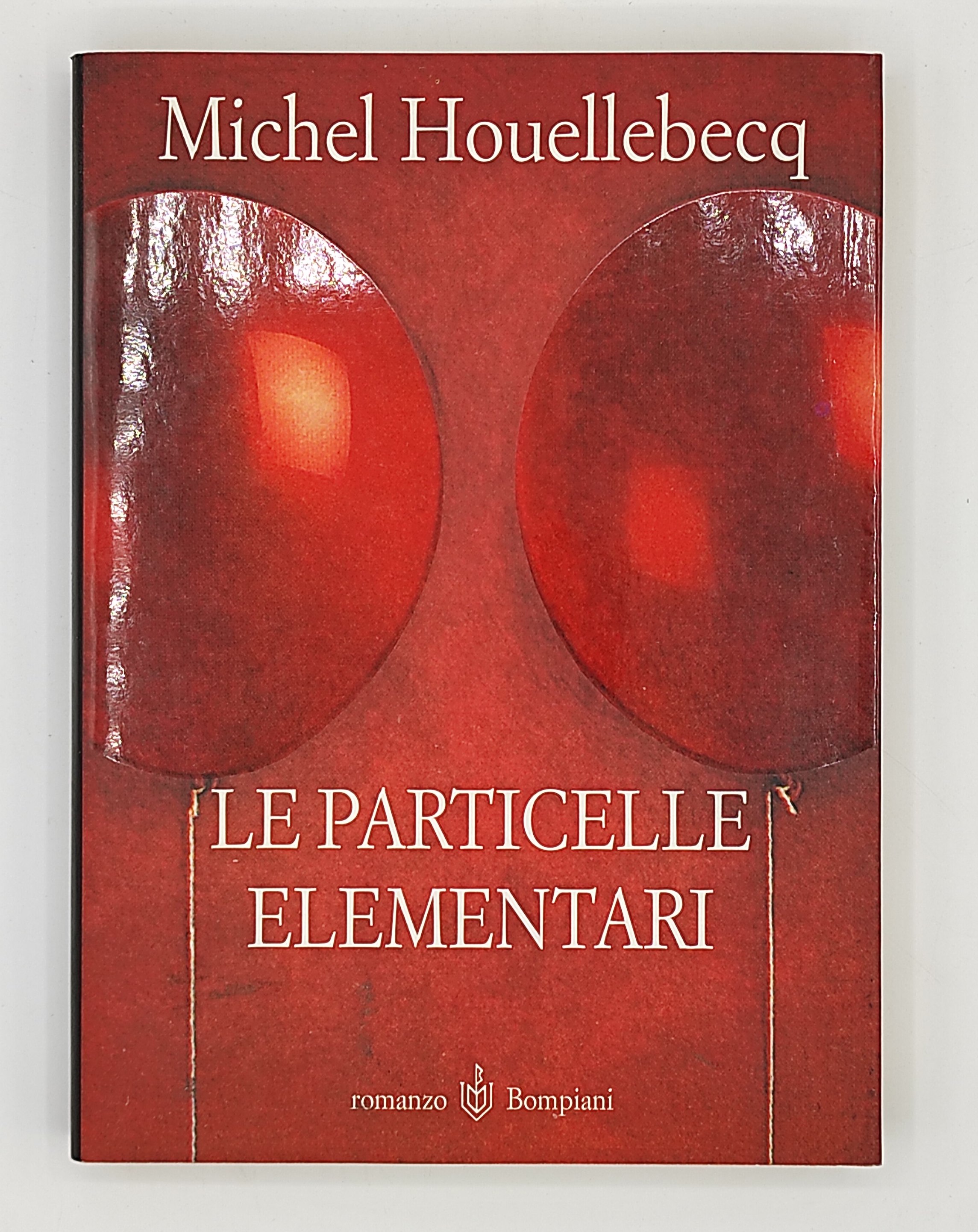 Le particelle elementari