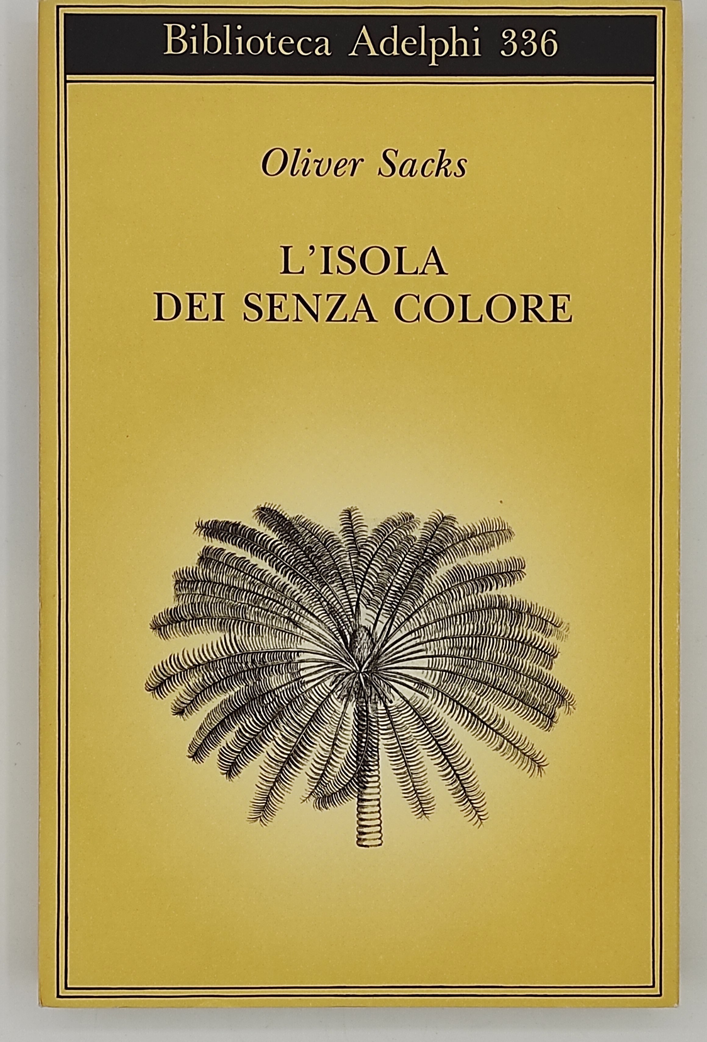 L'isola dei senza colore