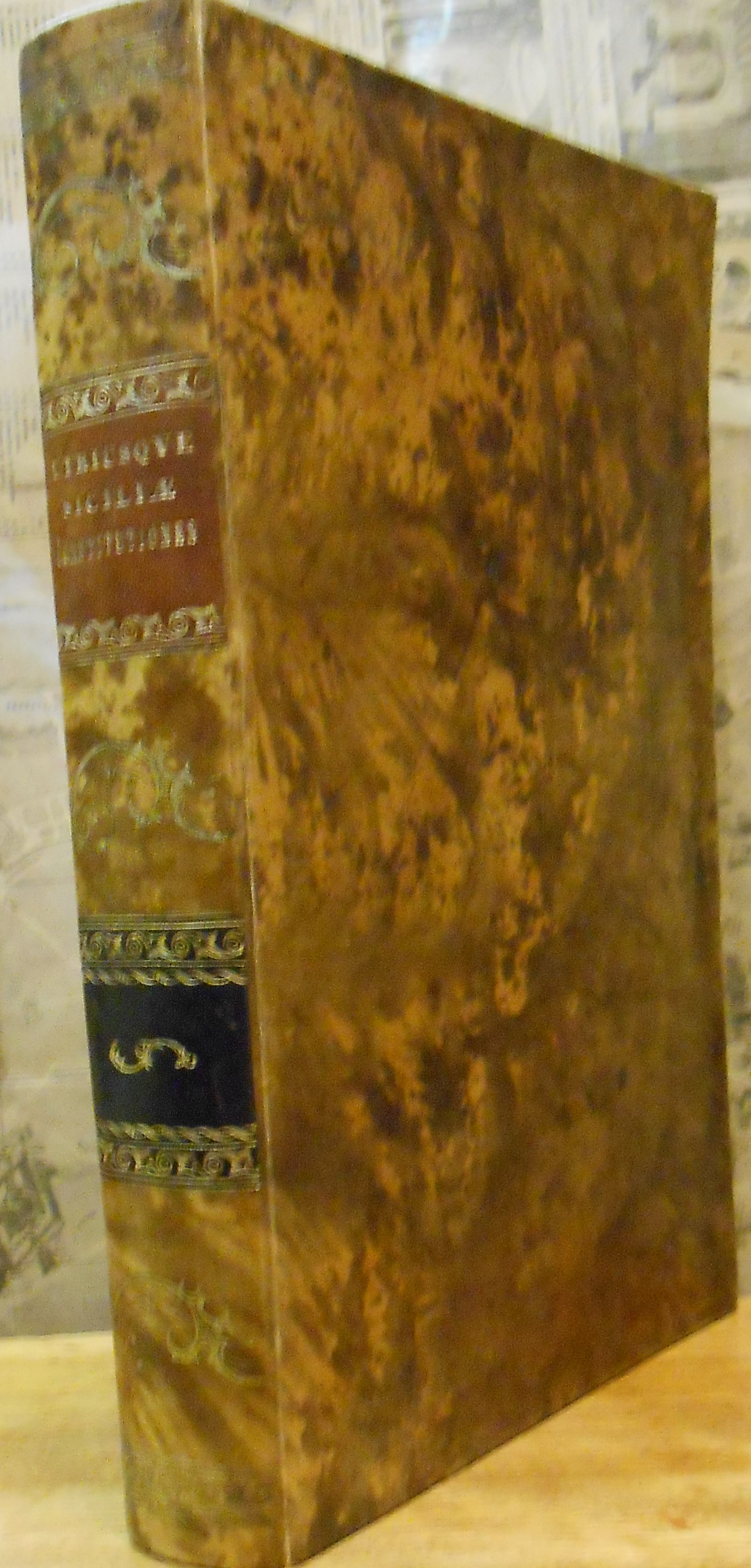 UTRIUSQUE SICILIAE CONSTITUTIONES, CAPITULA, RITUS, ET PRAGMATICAE, DOCTISSIMIS ANDRAEAE DE …