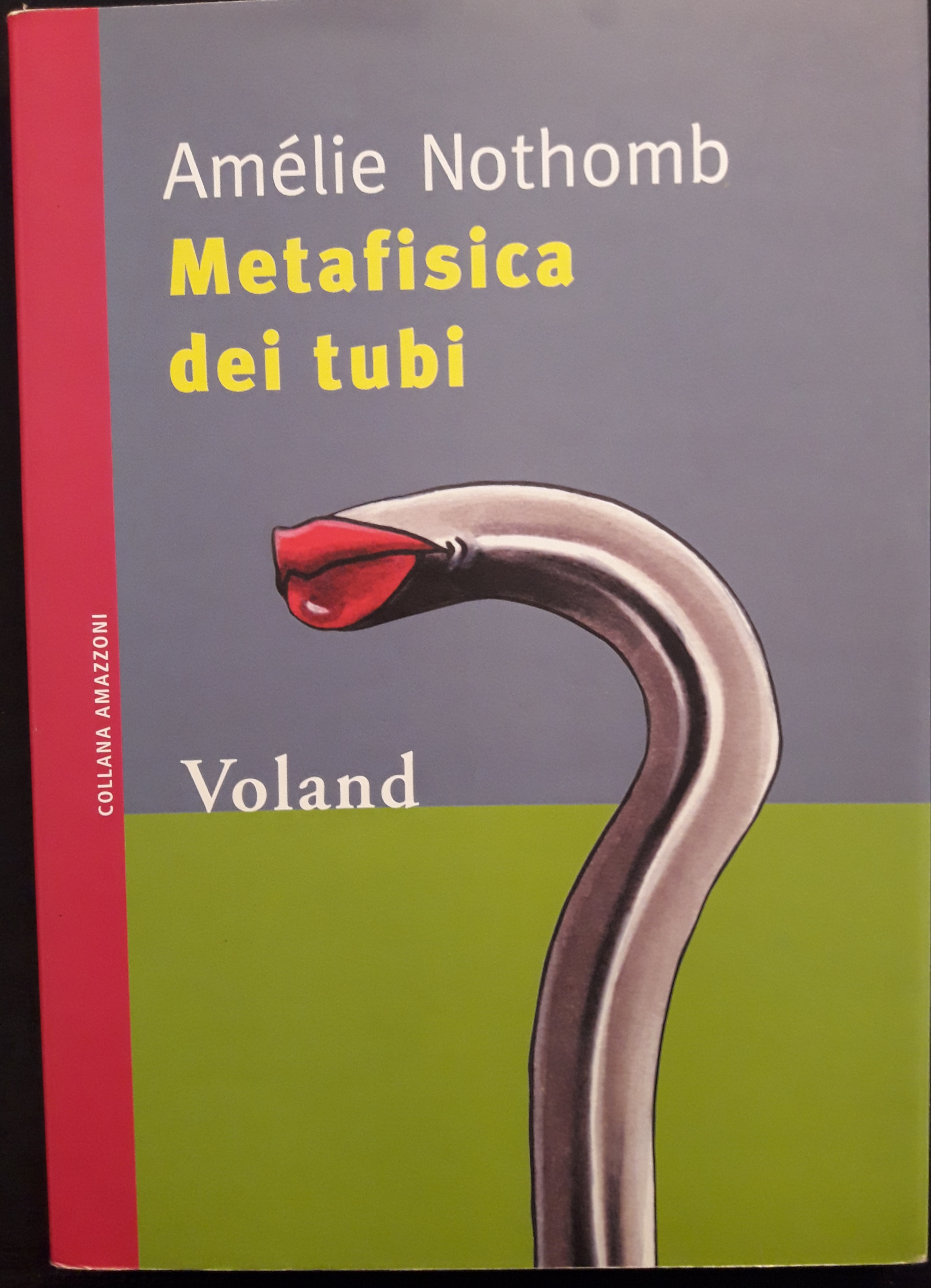 Metafisica dei tubi