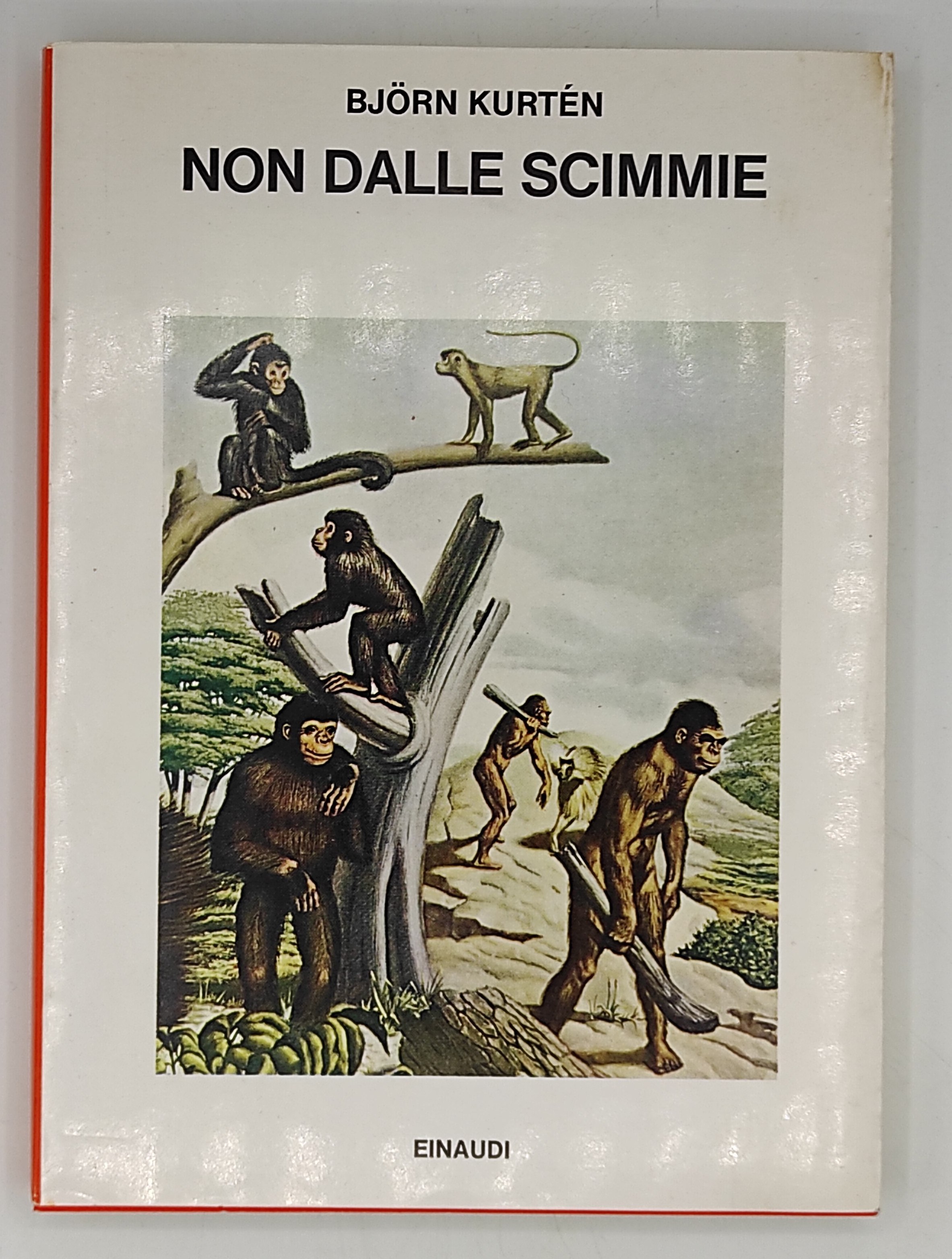 Non dalle scimmie