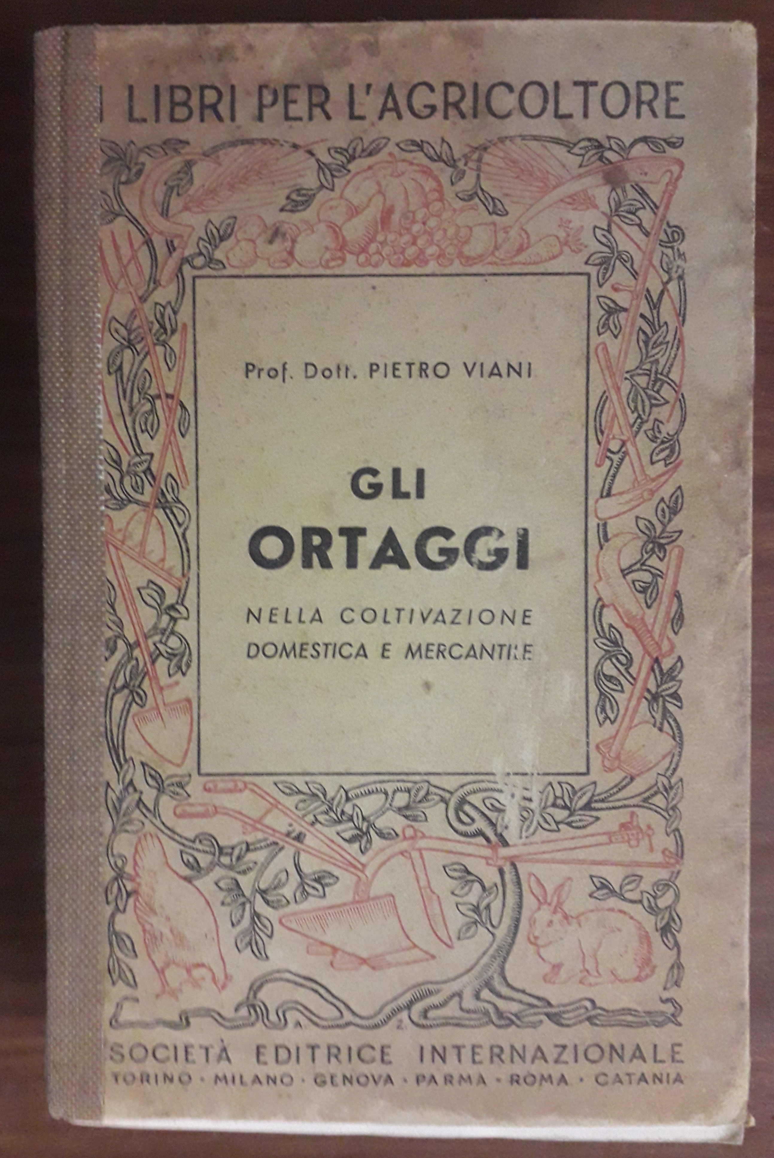 Gli ortaggi nella coltivazione domestica e mercantile