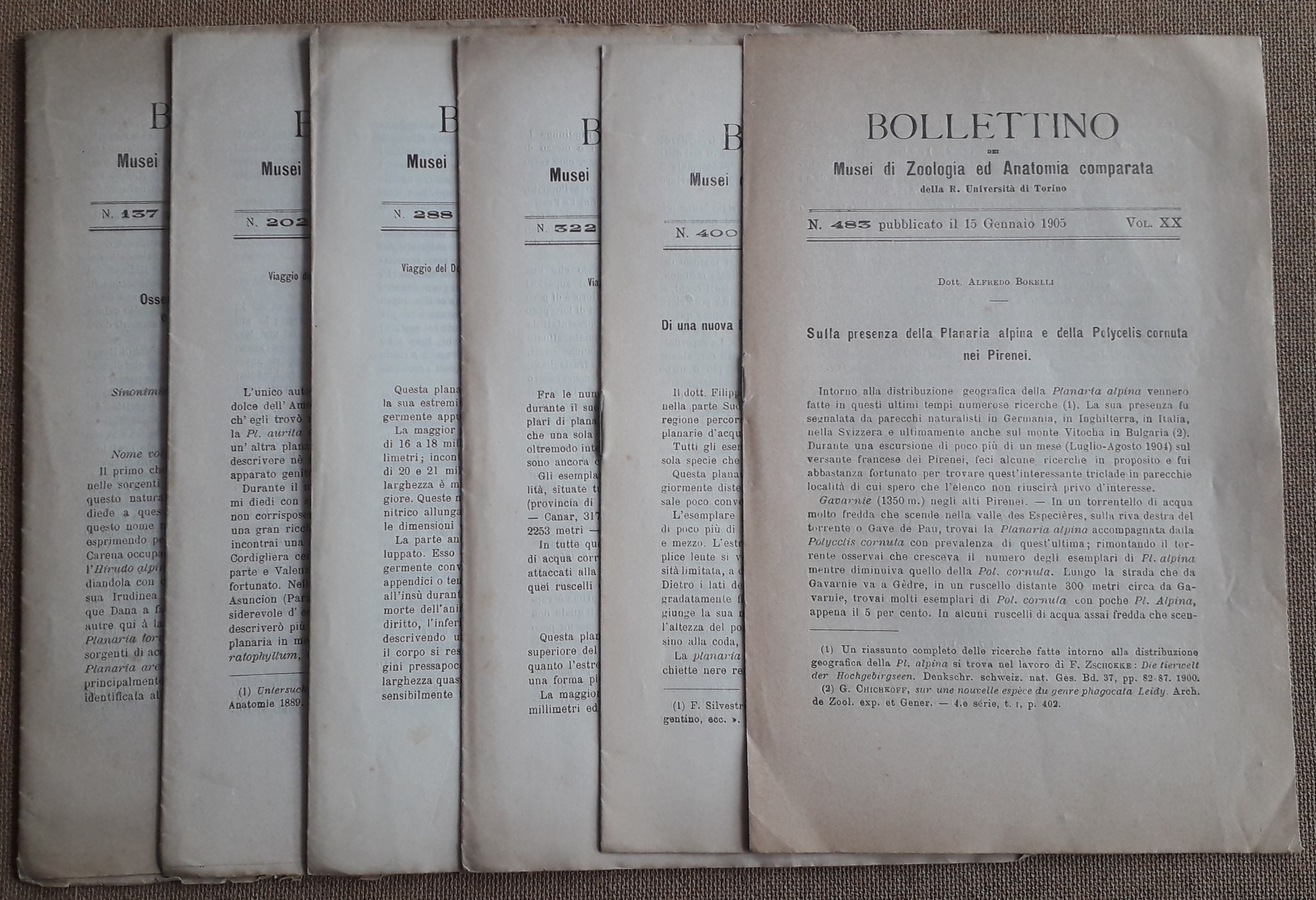 Bollettino dei Musei di Zoologia ed Anatomia comparata della R. …