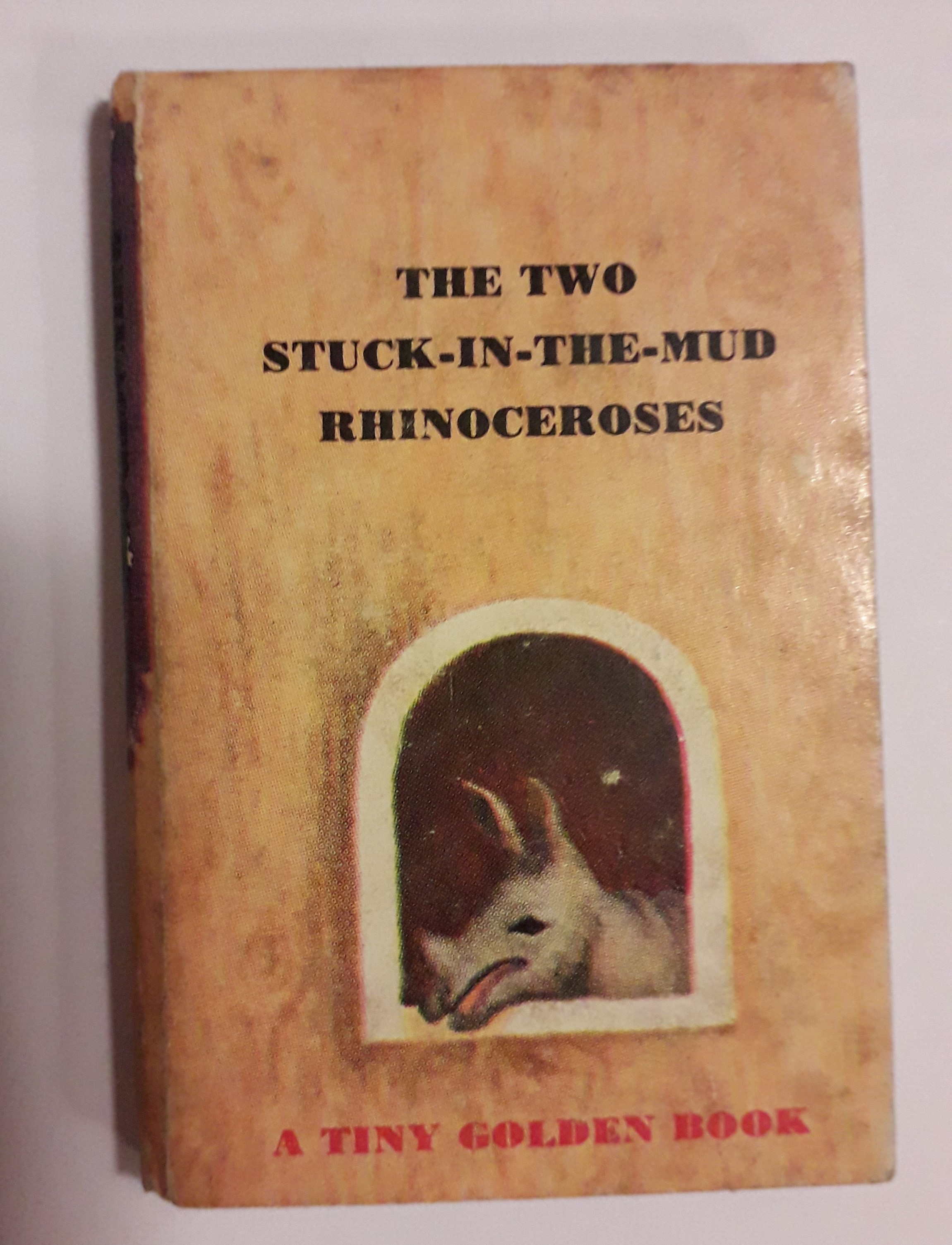 The Two Stuck-In-The-Mud Rhinoceroses