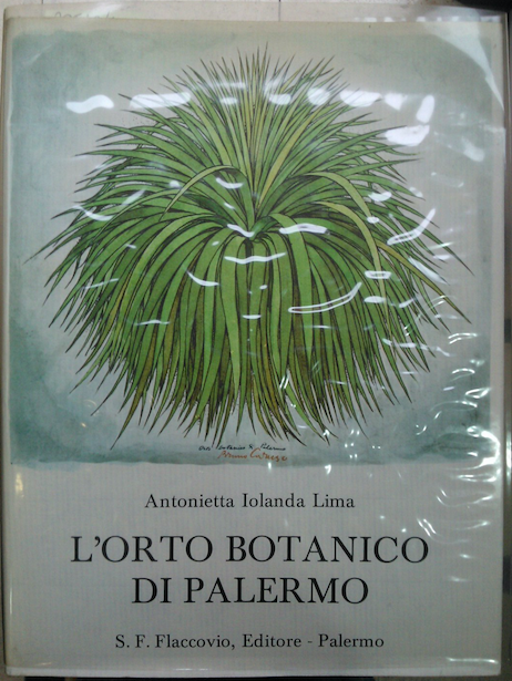 L'orto botanico di Palermo