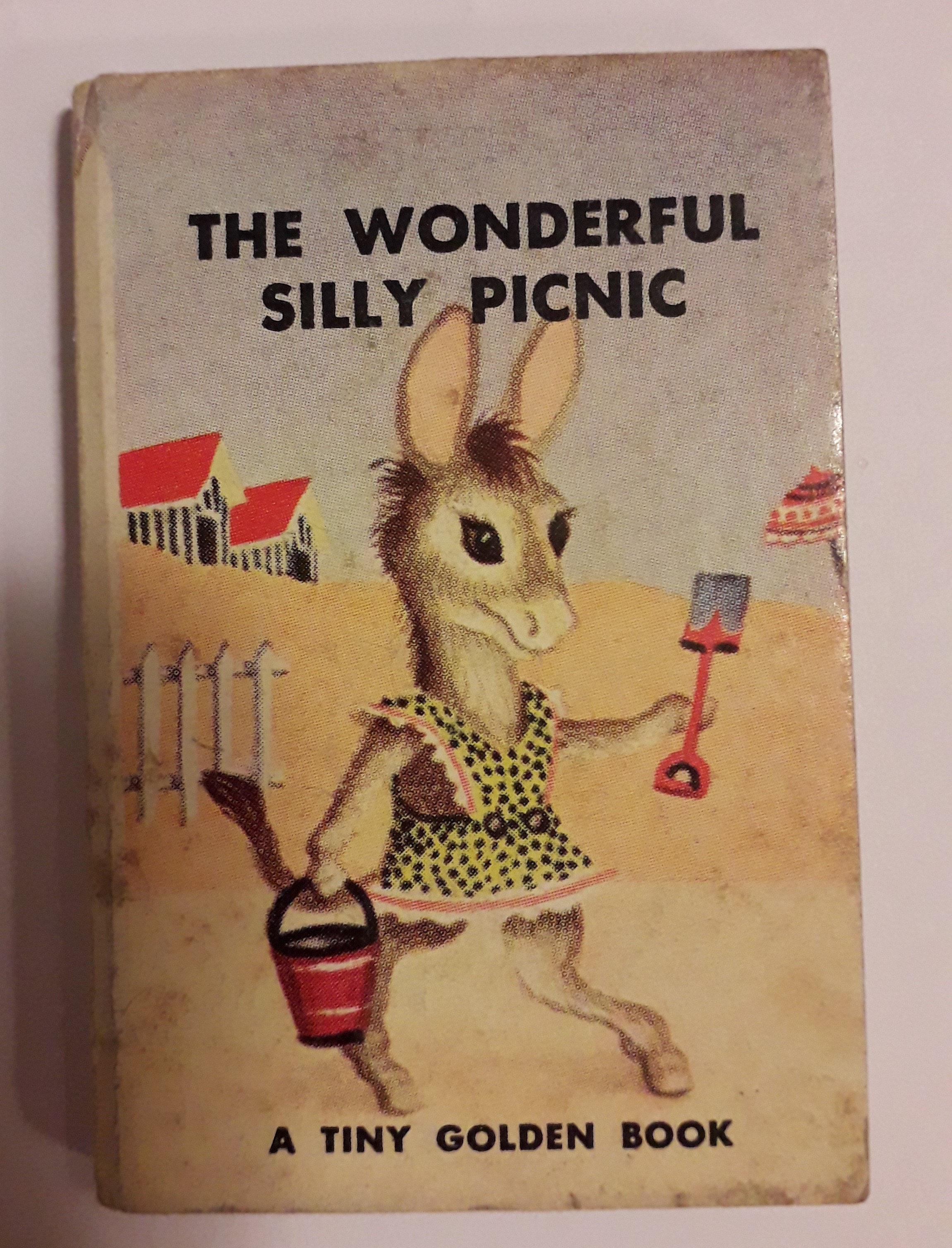 The Wonderful Silly Picnic