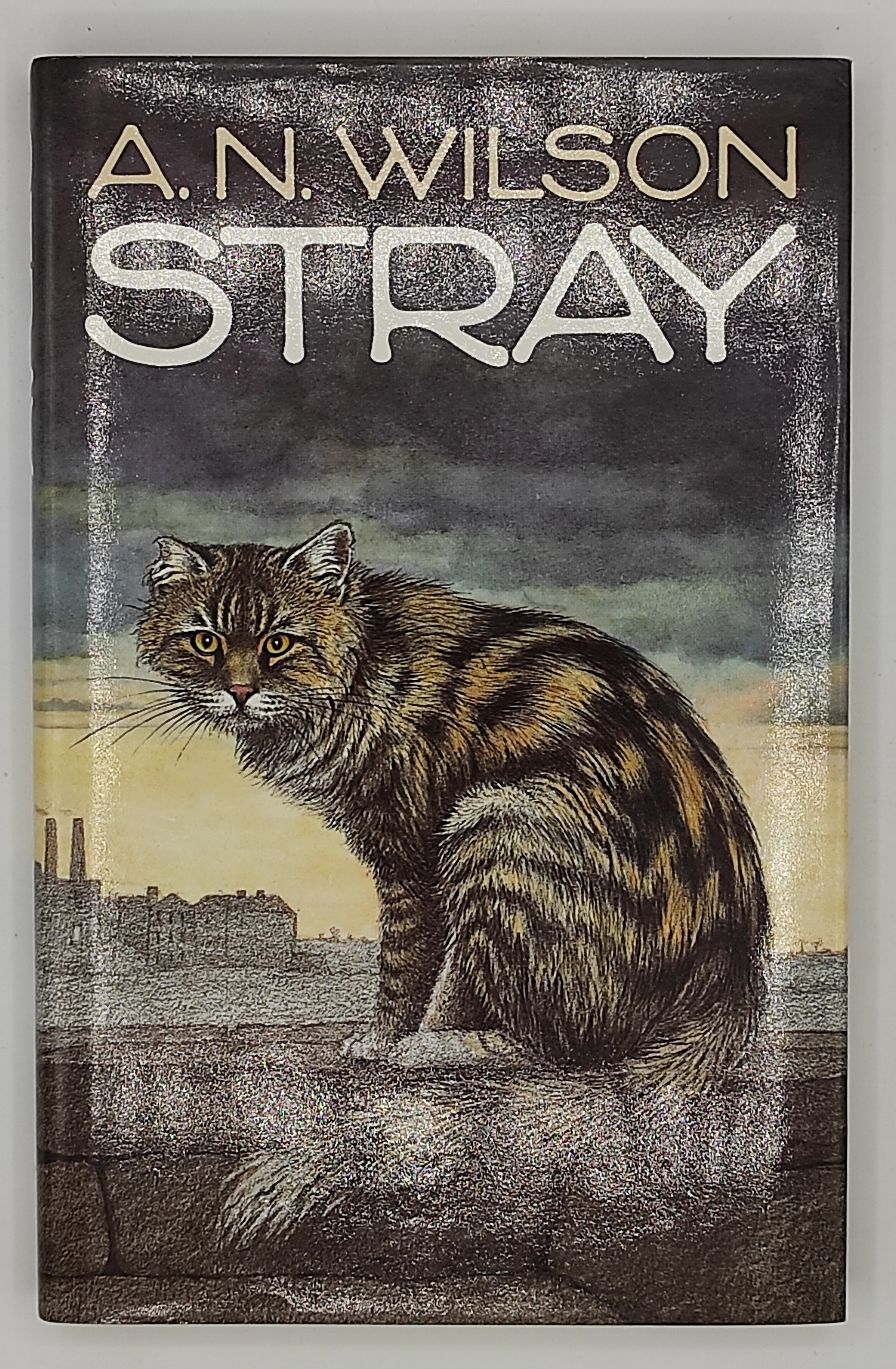 Stray