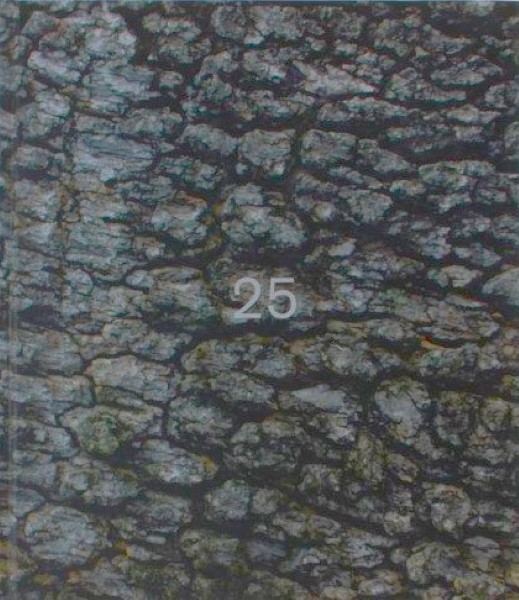 Teste di legno Storie di burattini e falegnami cocciuti