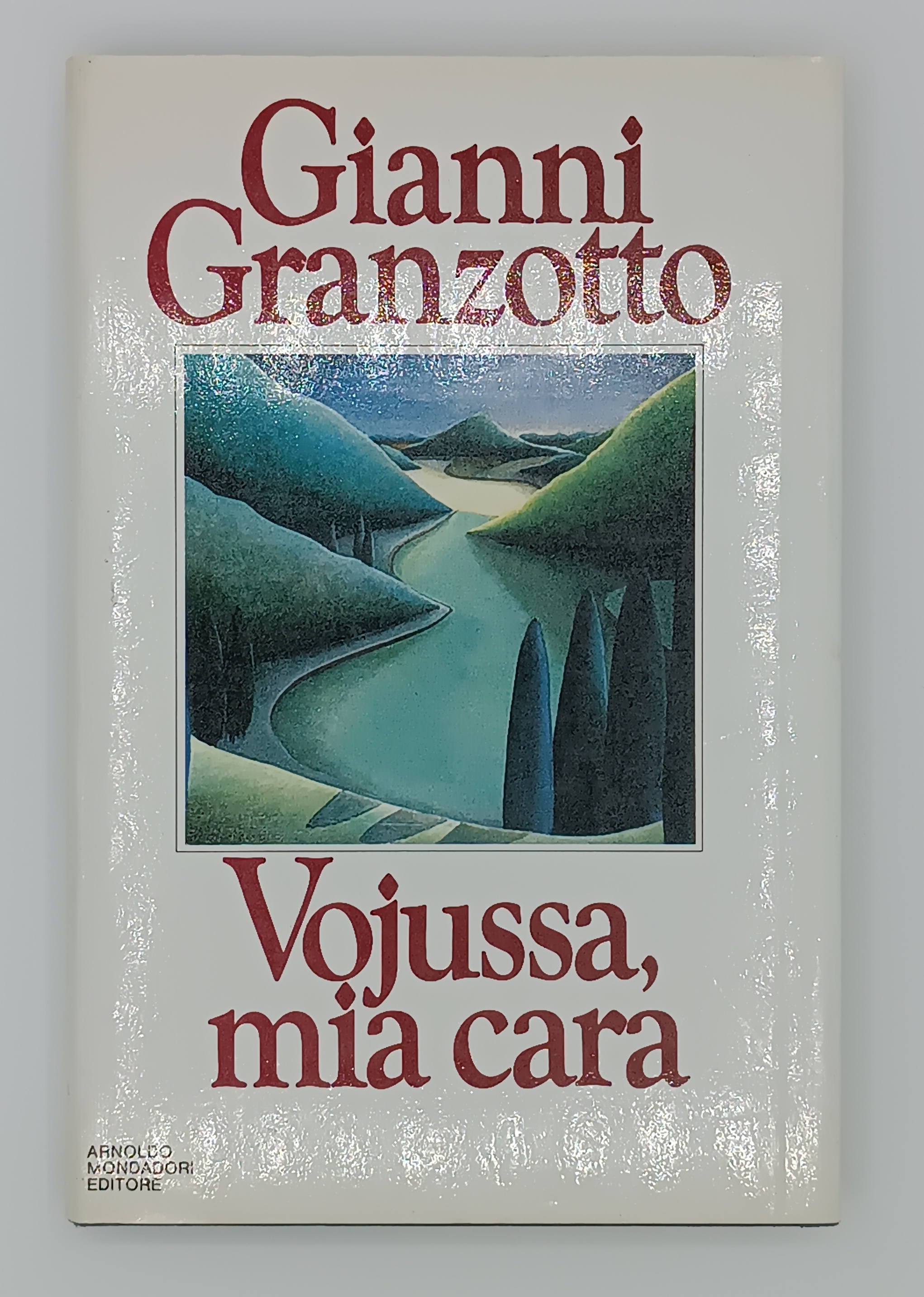 Vojussa, mia cara. Diario di guerra