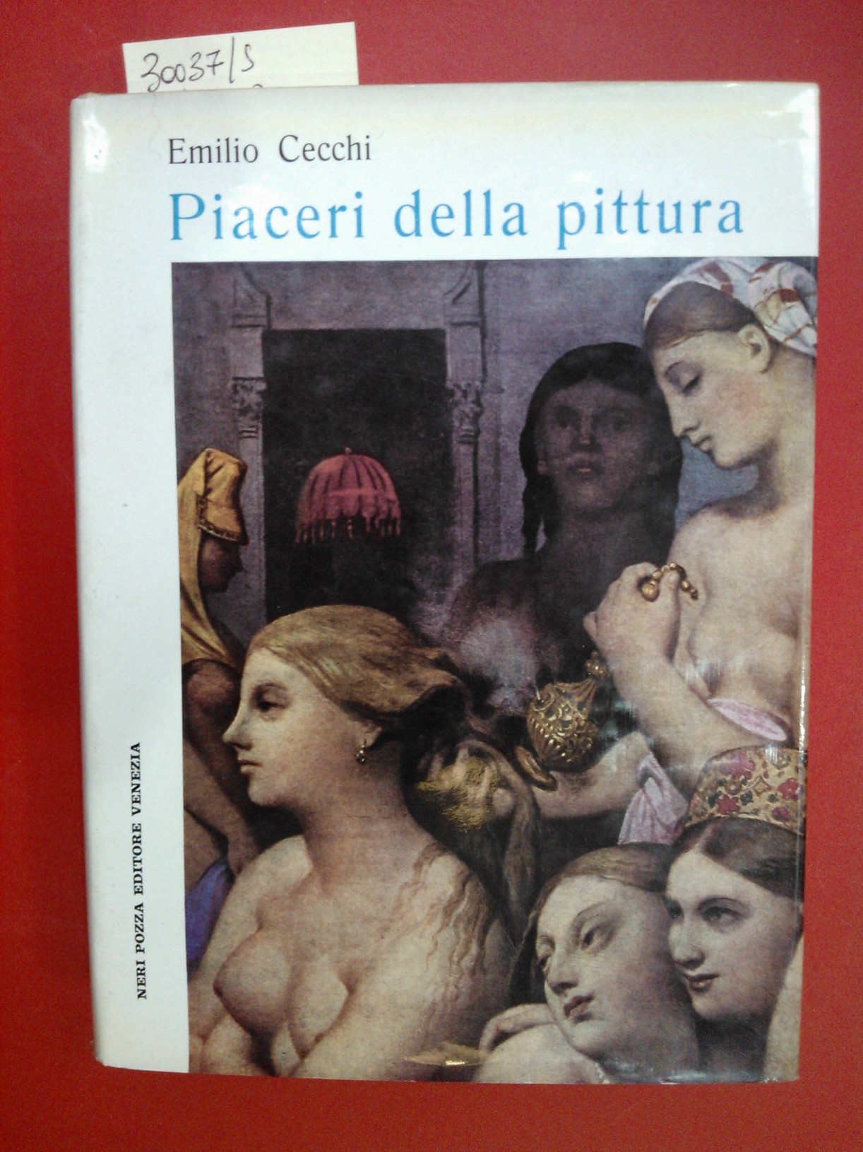 Piaceri della pittura saggi e note di critica d'arte