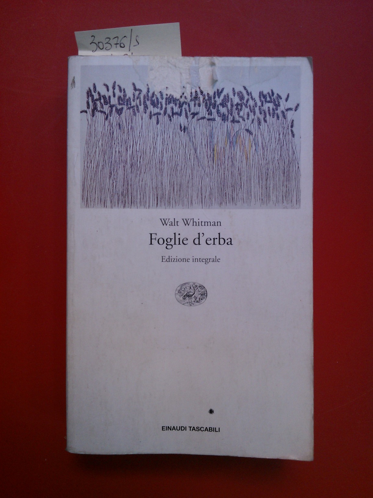 Foglie d'erba