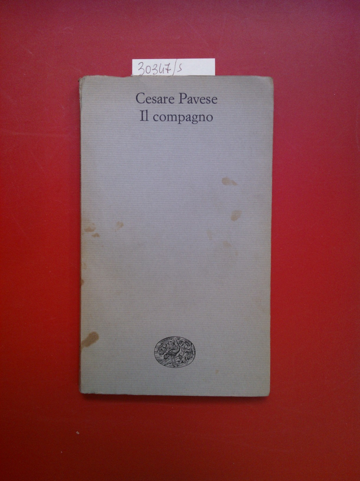 Il compagno