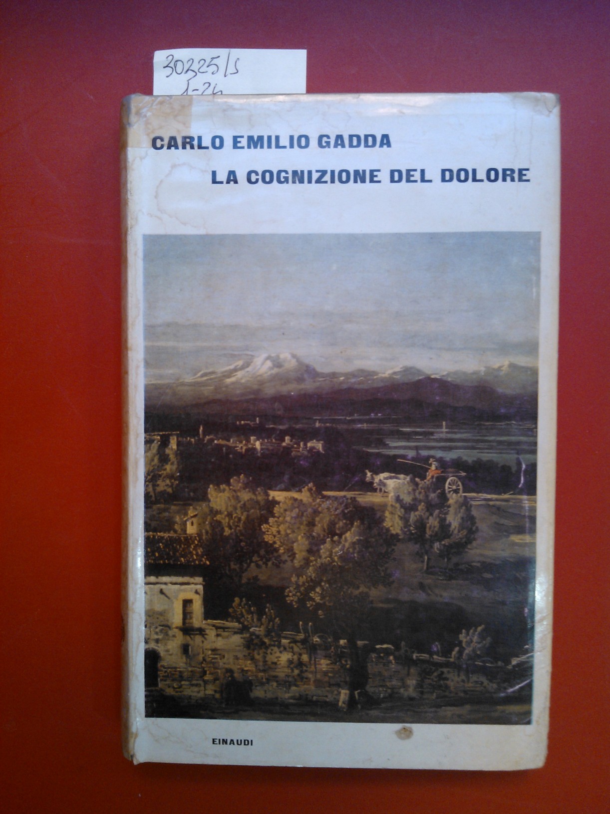 La cognizione del dolore