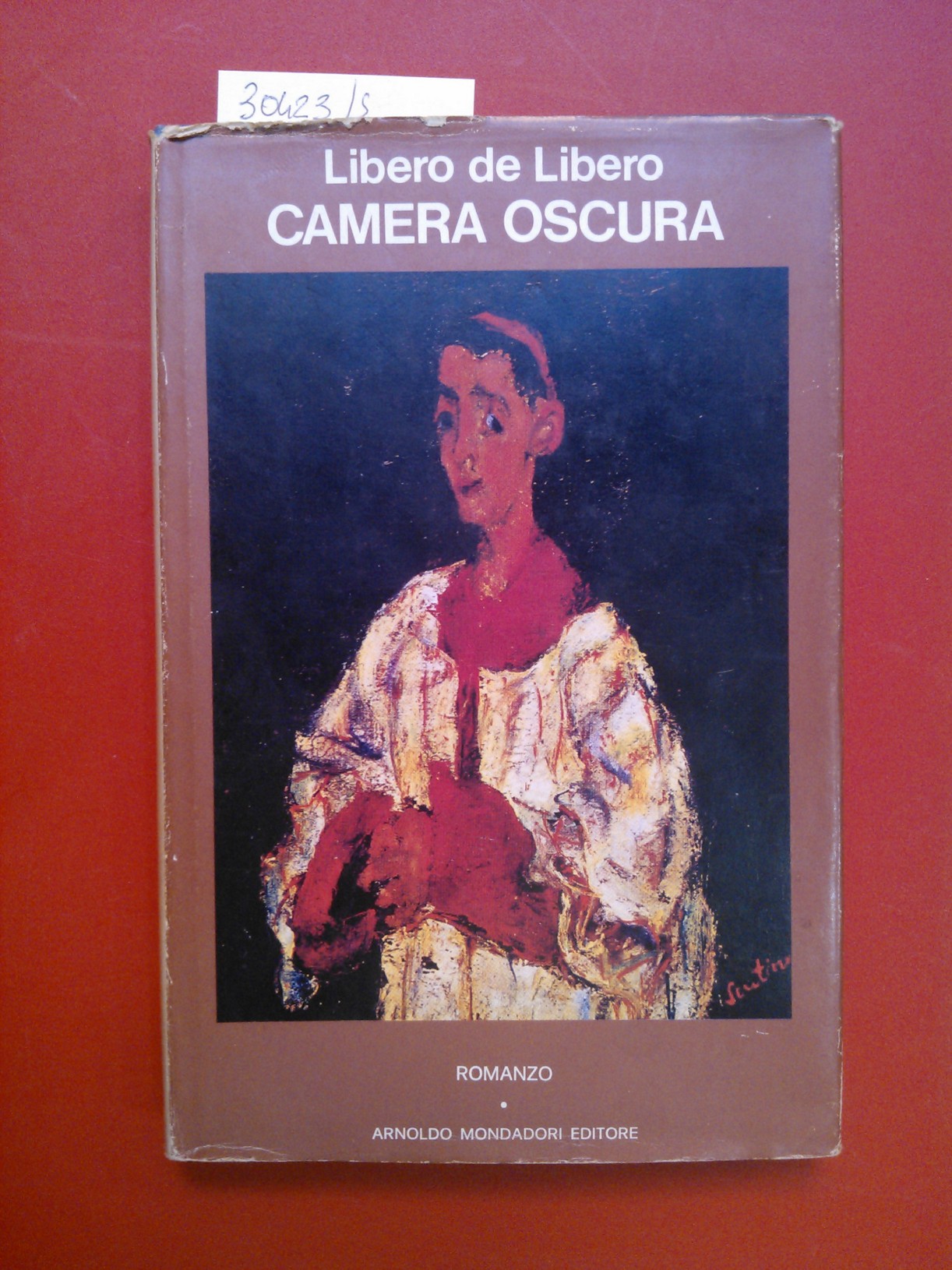 Camera oscura