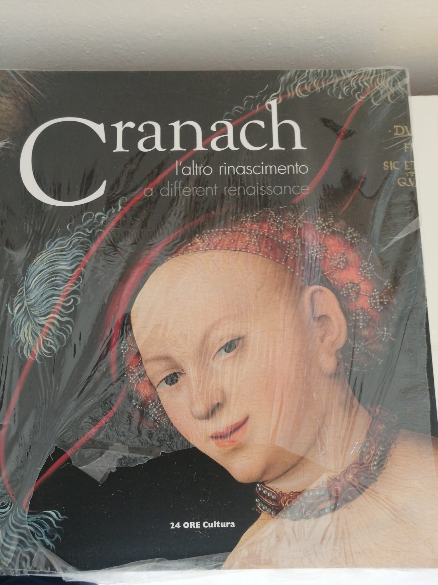 CRANACH. L'altro Rinascimento A different Reinassence