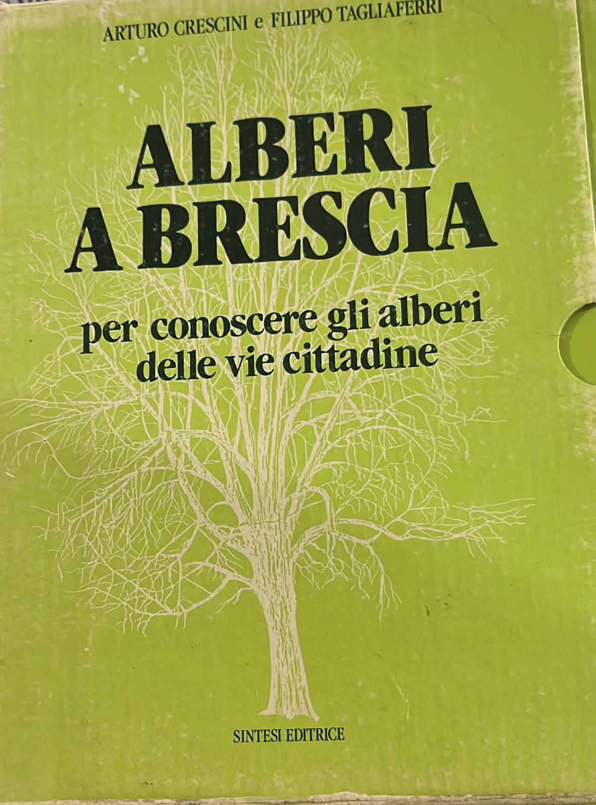 Alberi a Brescia- Per conoscere gli alberi delle vie cittadine