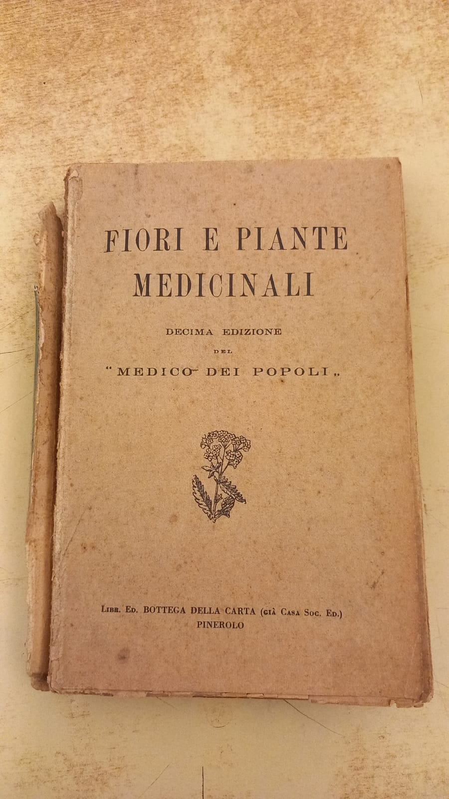 Fiori e piante medicinali