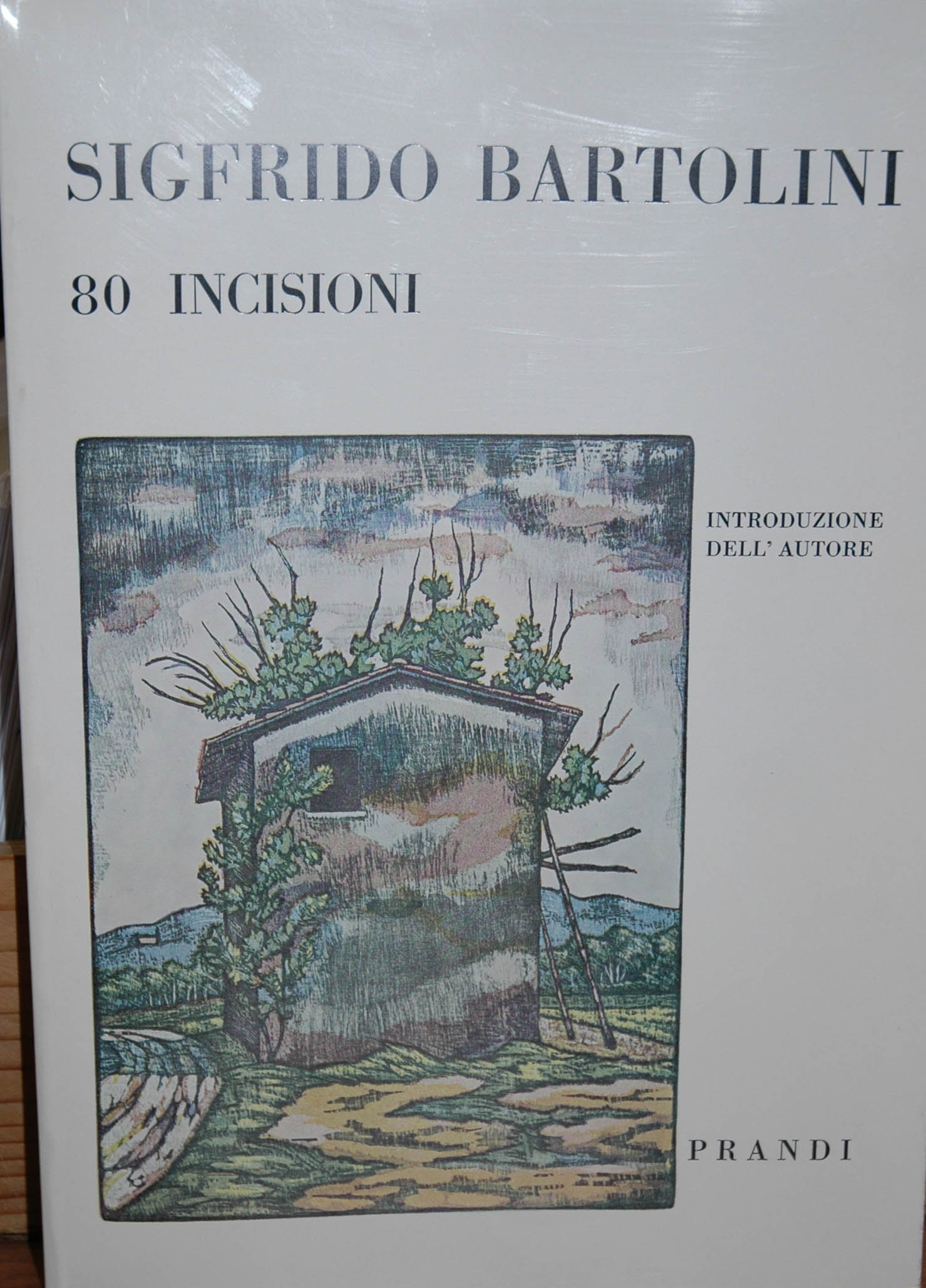 American Painting of the 1970s.