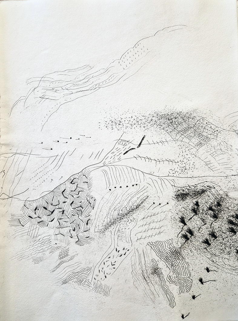 La semplice in cerca di spirito. Acqueforti di Tullio Pericoli.