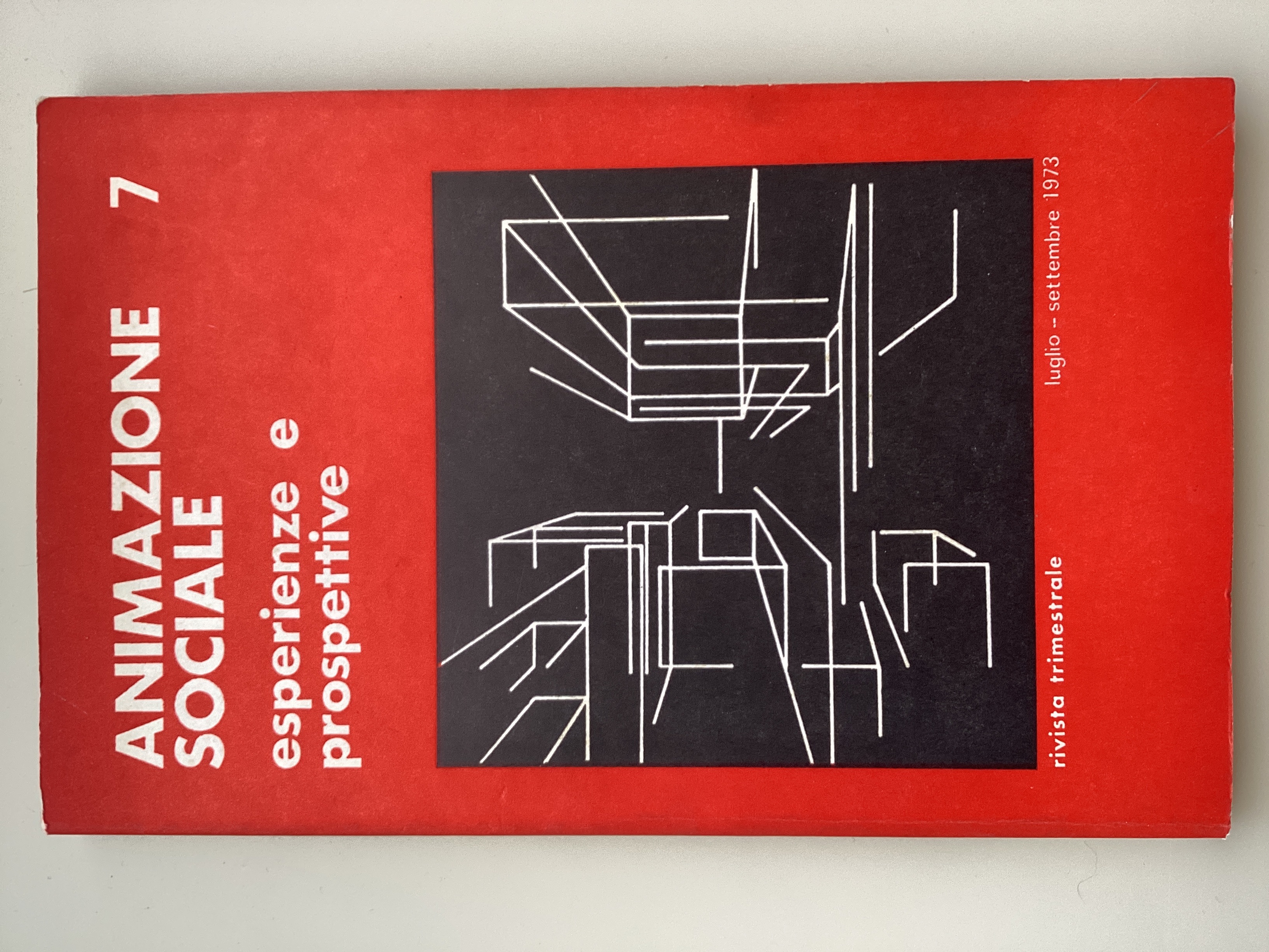 Animazione sociale: esperienze e prospettive. Rivista trimestrale: luglio-settembre 1973 n.7