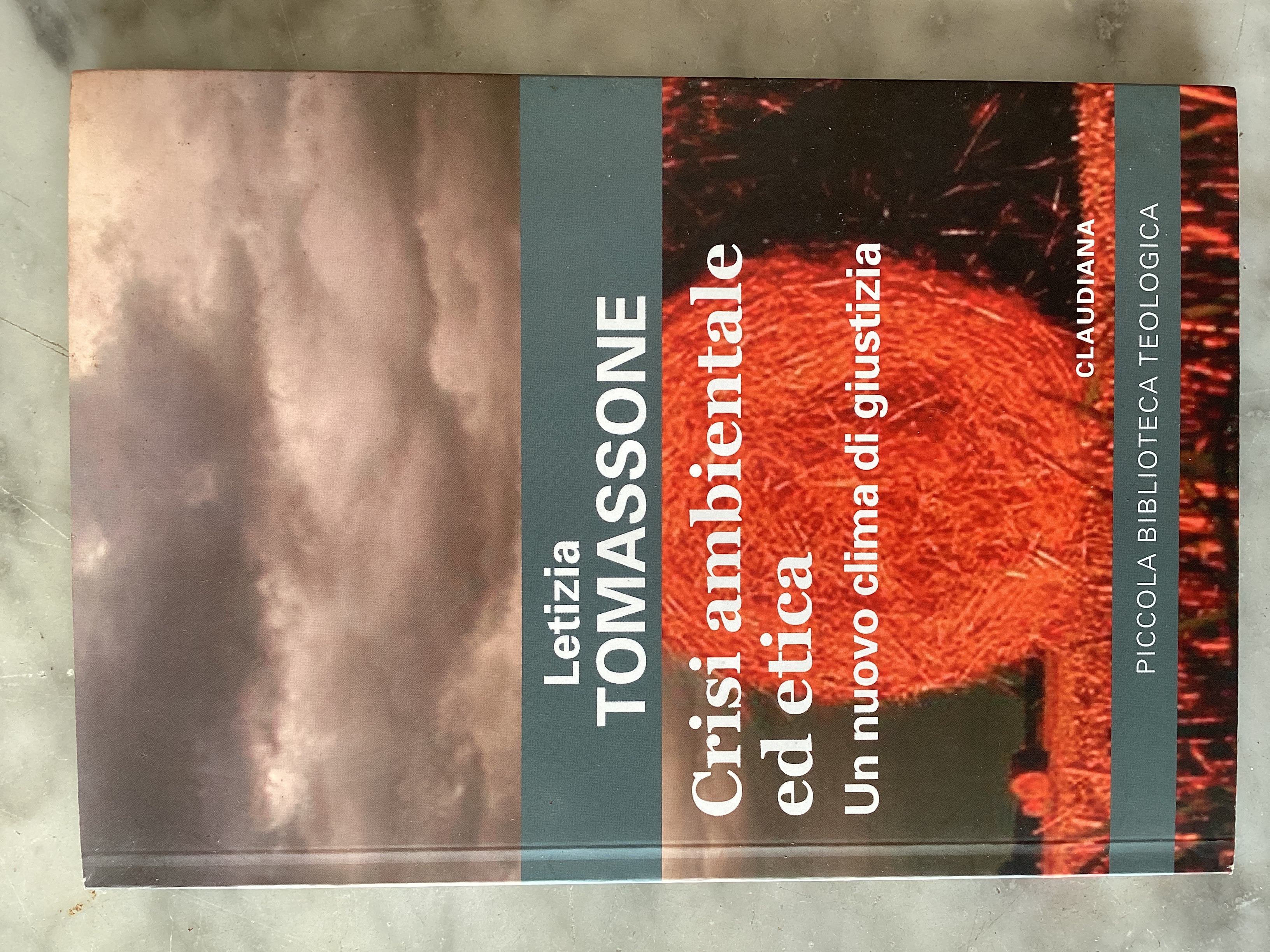 Crisi ambientale ed etica. Un nuovo clima di giustizia