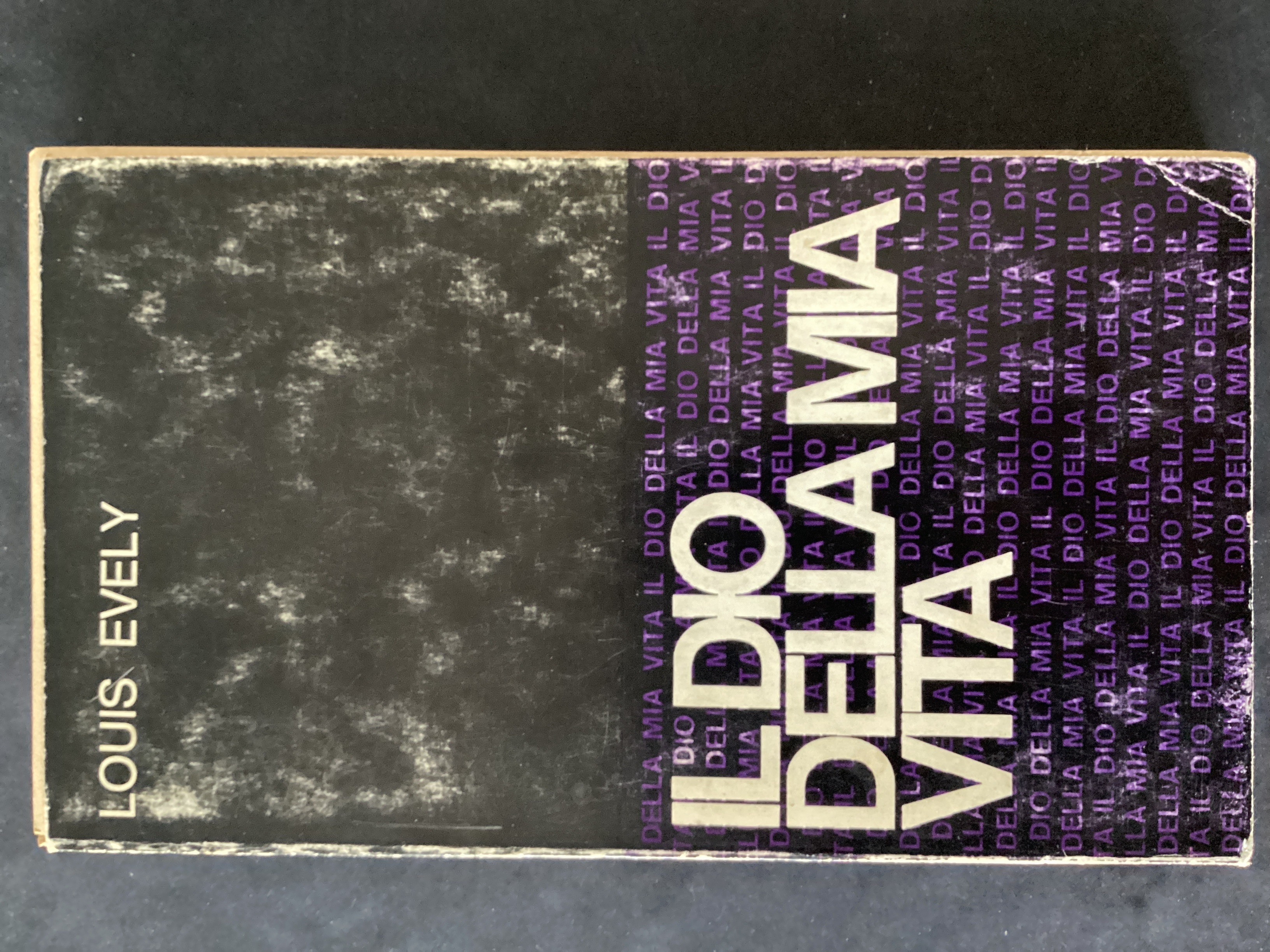 Il Dio della mia vita