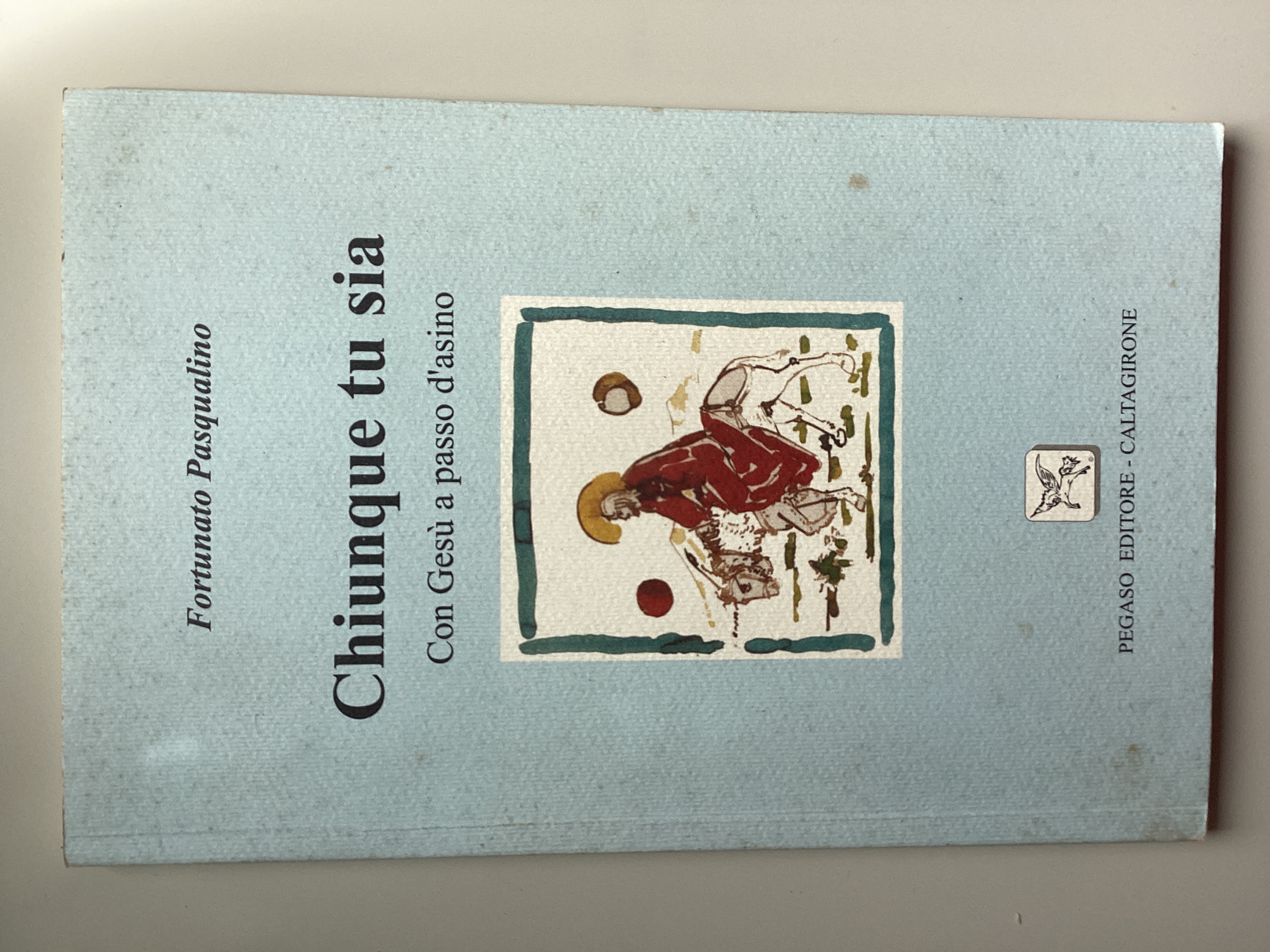 Chiunque tu sia. Con Gesù a passo d'asino