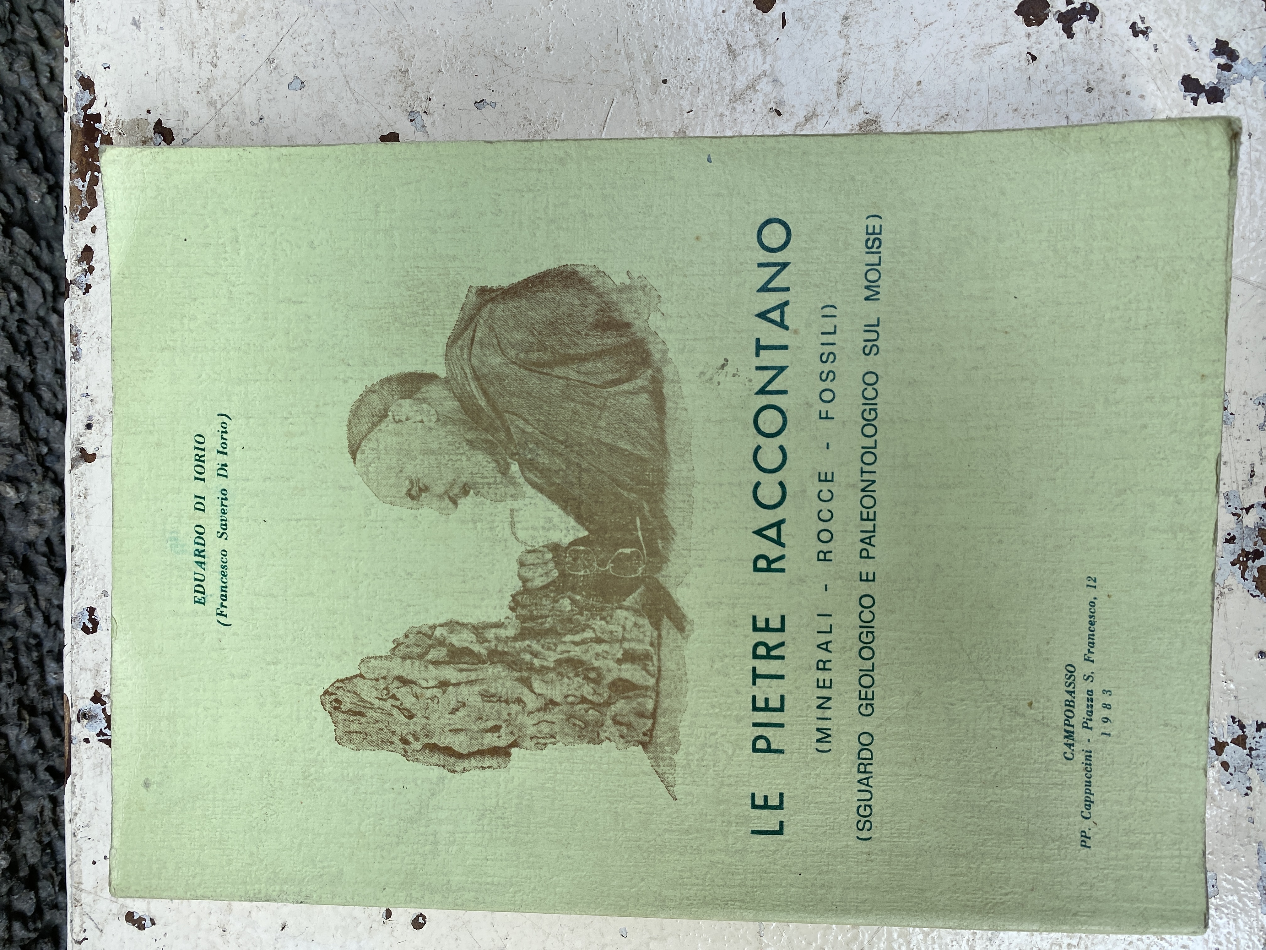 Le pietre raccontano (minerali - rocce - fossili) sguardo geologico …