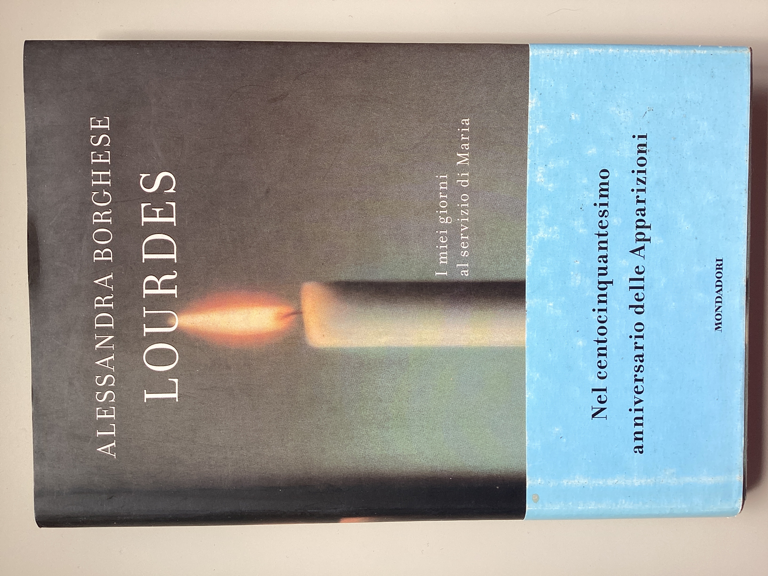 Lourdes. I miei giorni al servizio di Maria