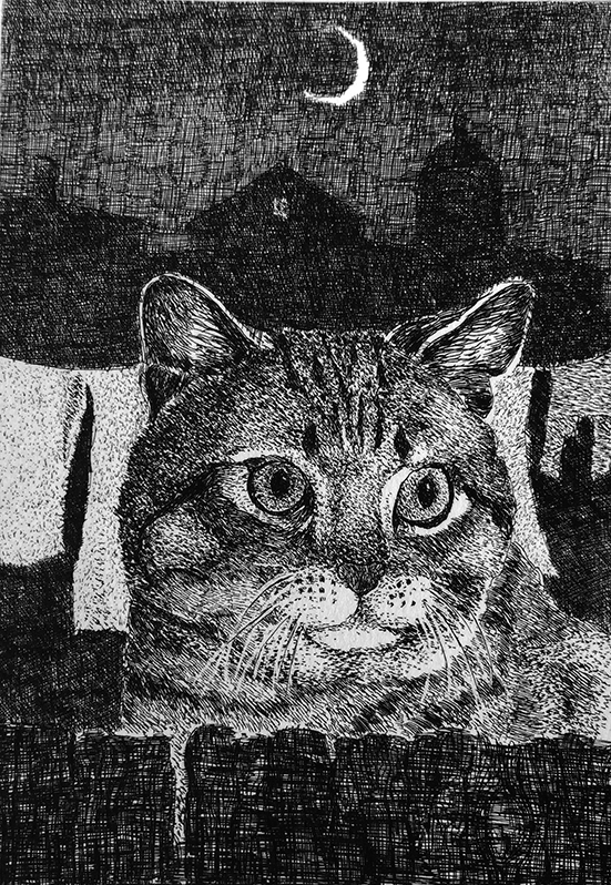 Gatti italiani.