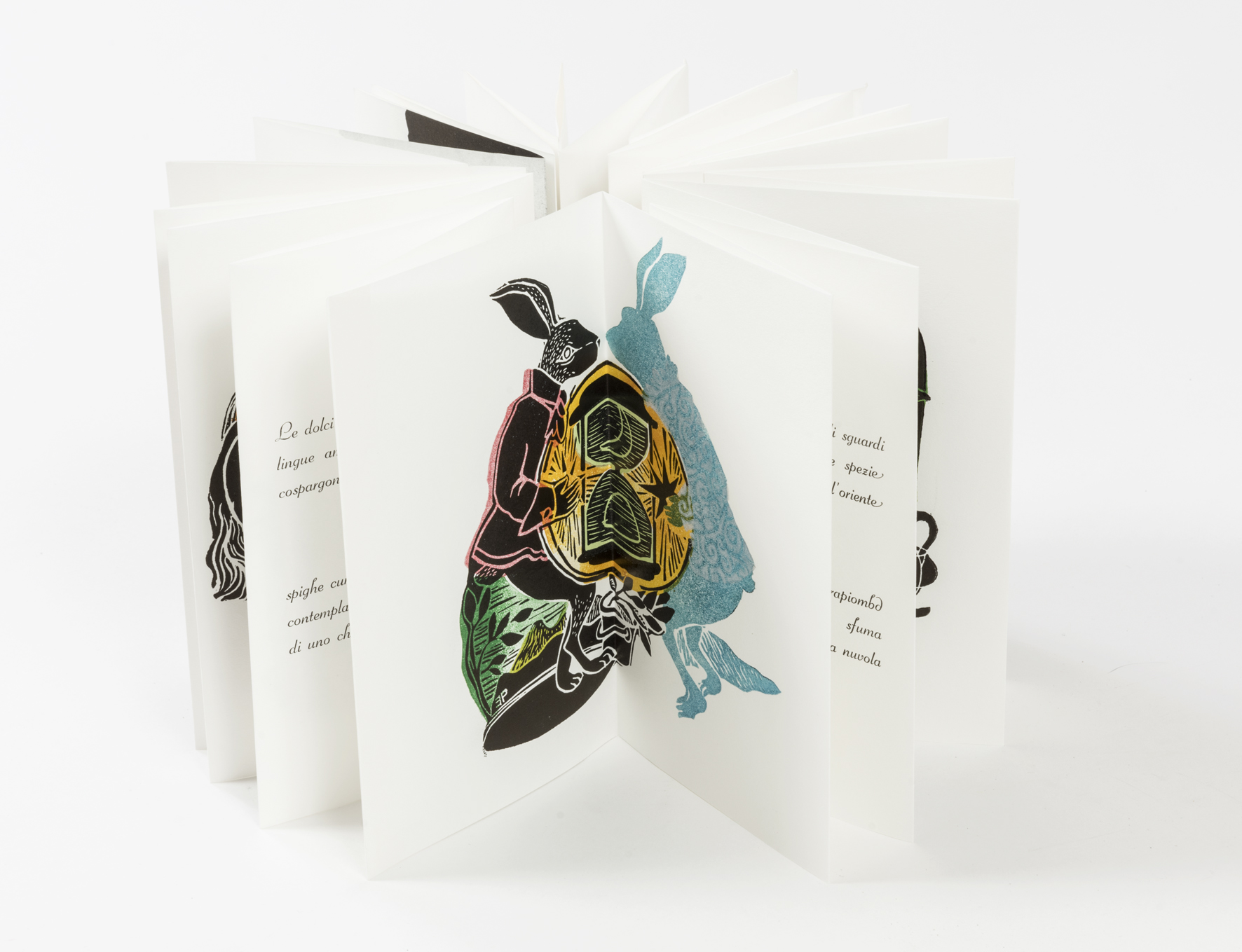 Carta Luna. Illustrato da Elisa Pellacani.