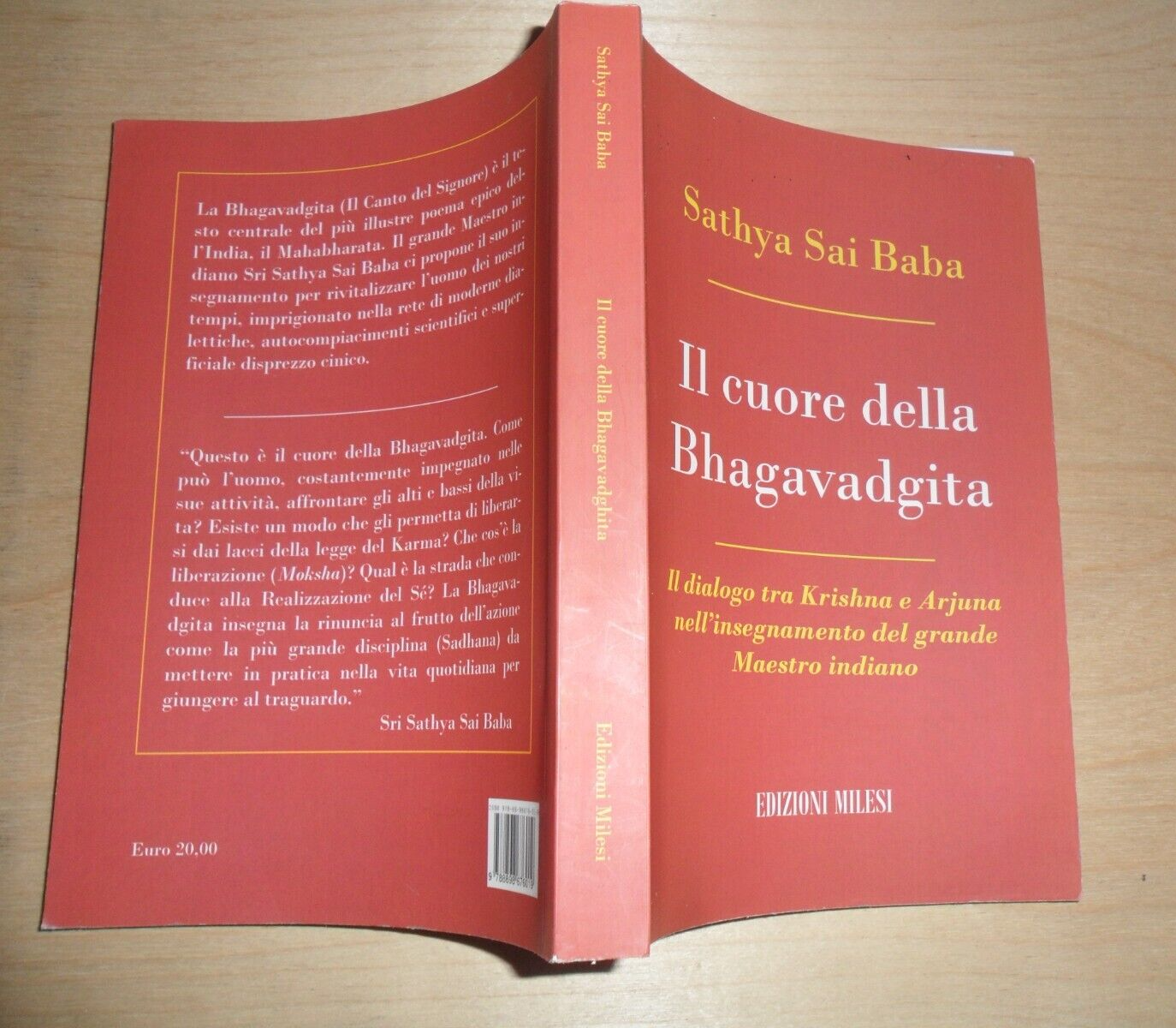 il cuore della Bhagavadgita