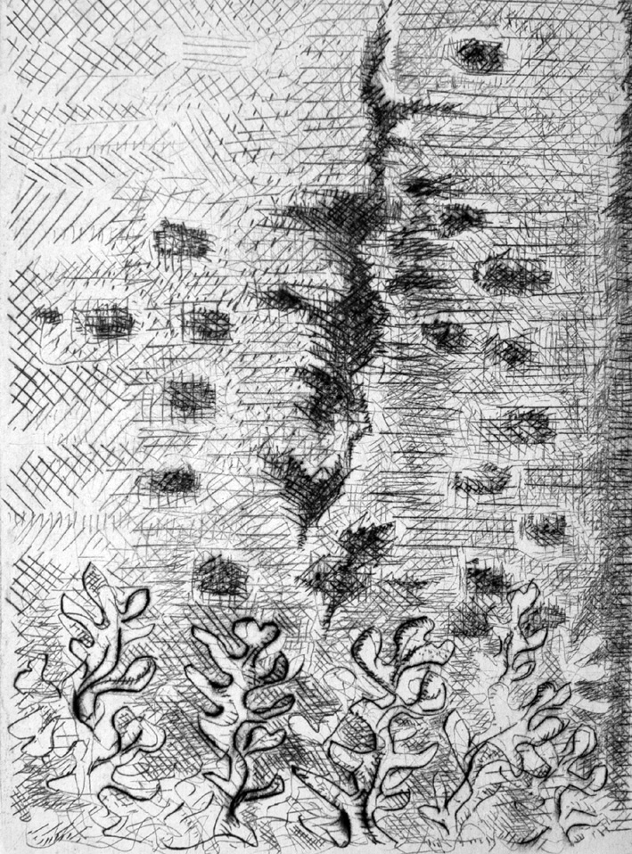 Cineraccio.