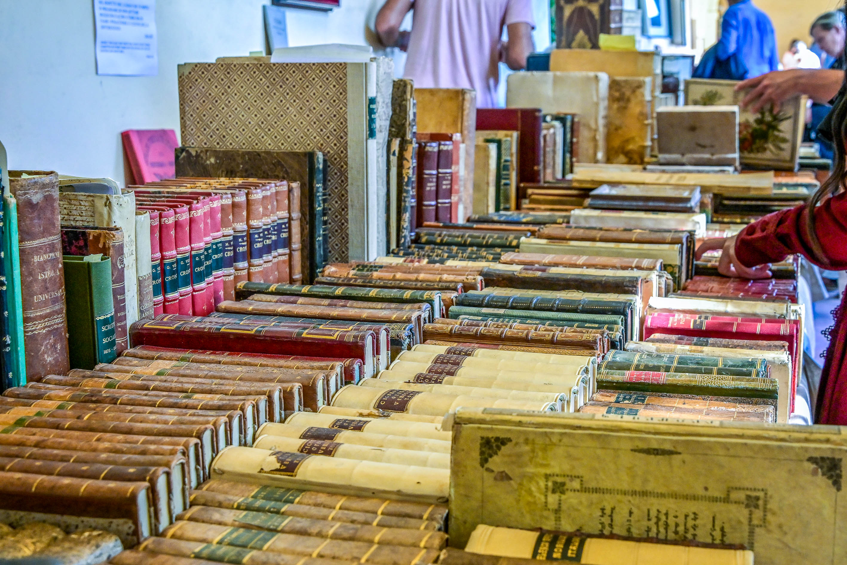 Mantova Libri Mappe Stampe