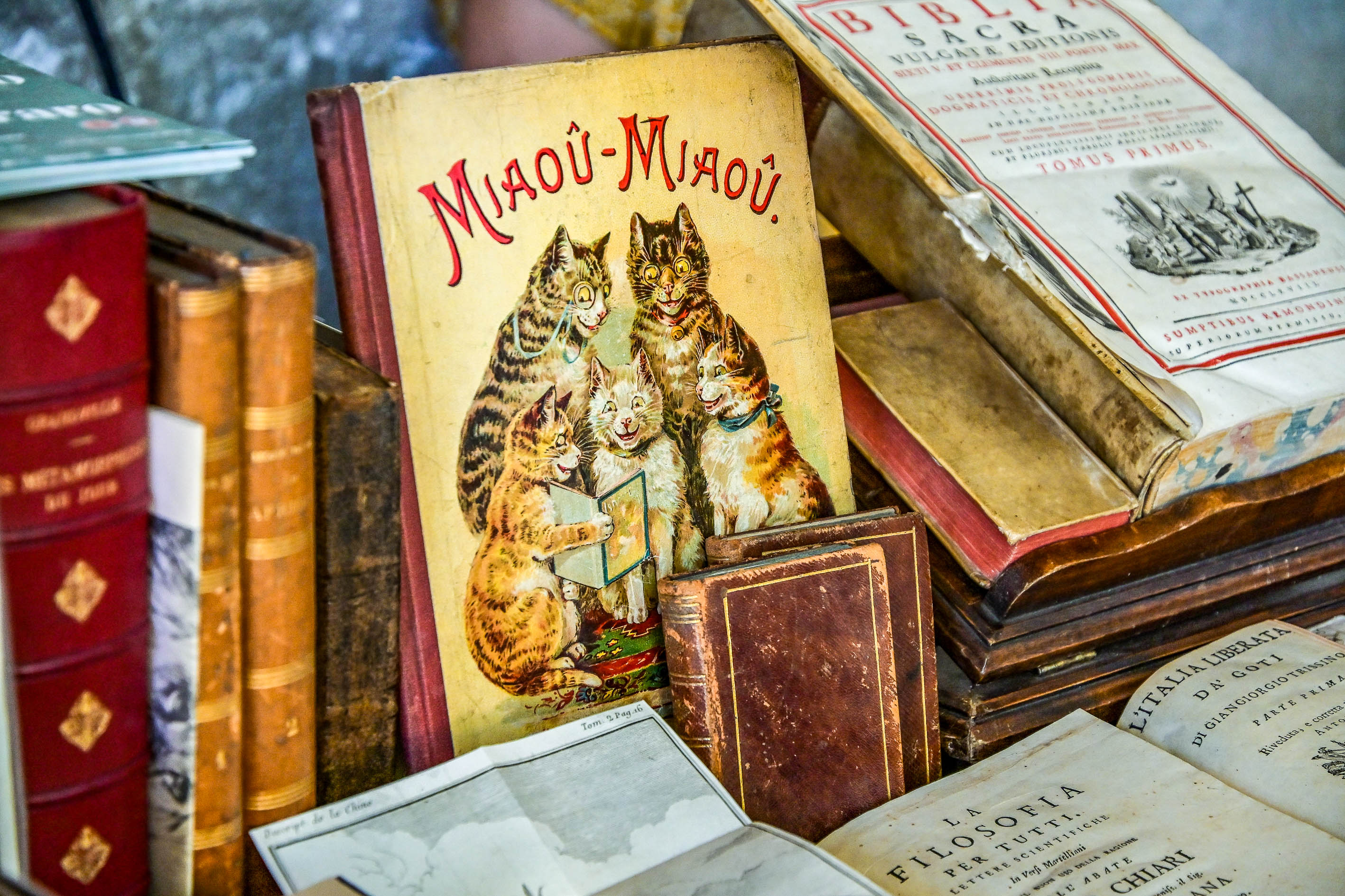 Mantova Libri Mappe Stampe